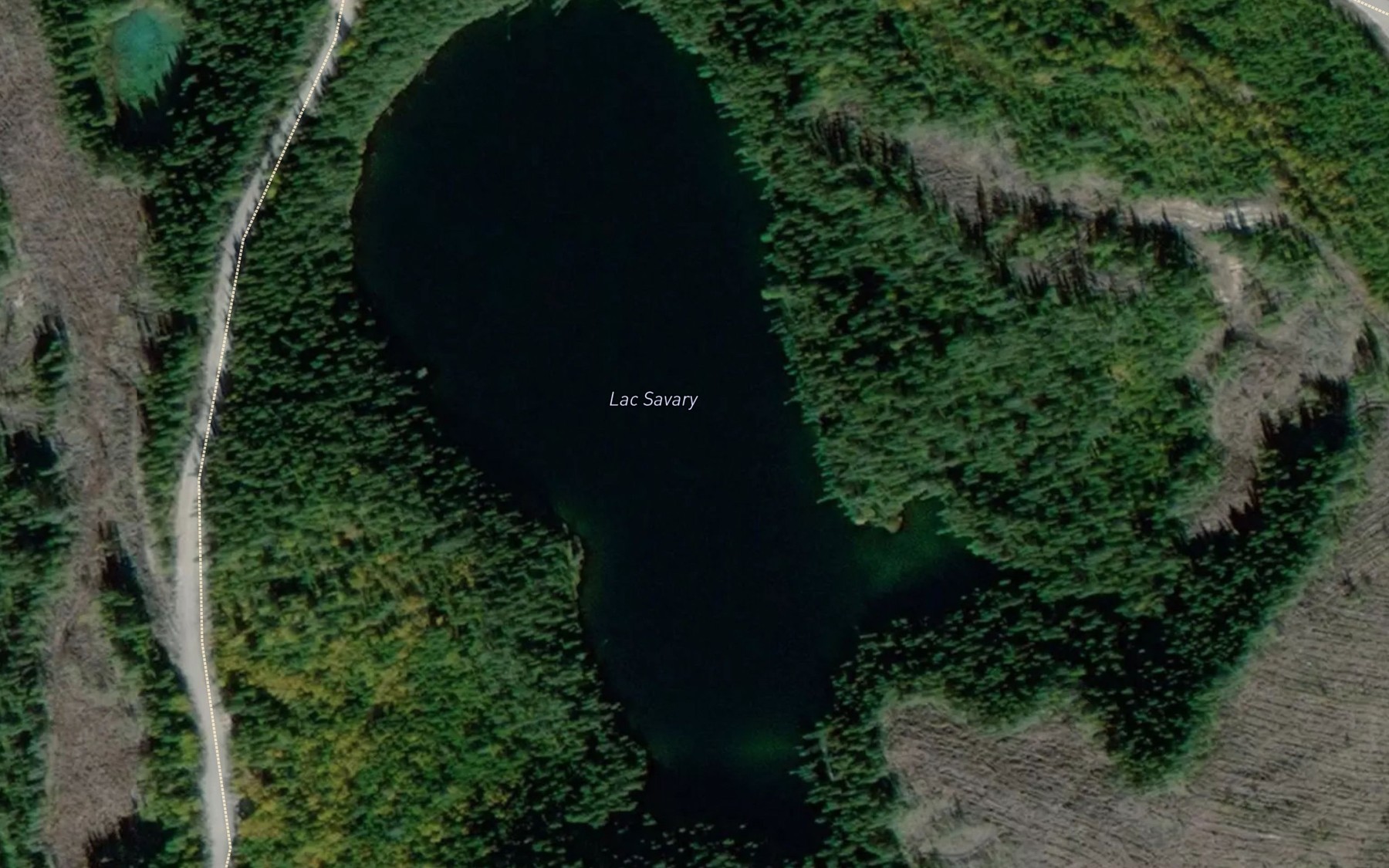 Satellite map of the Lac Savary