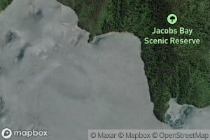 Shag Cove