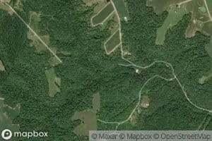 North Branch Oilspring Run