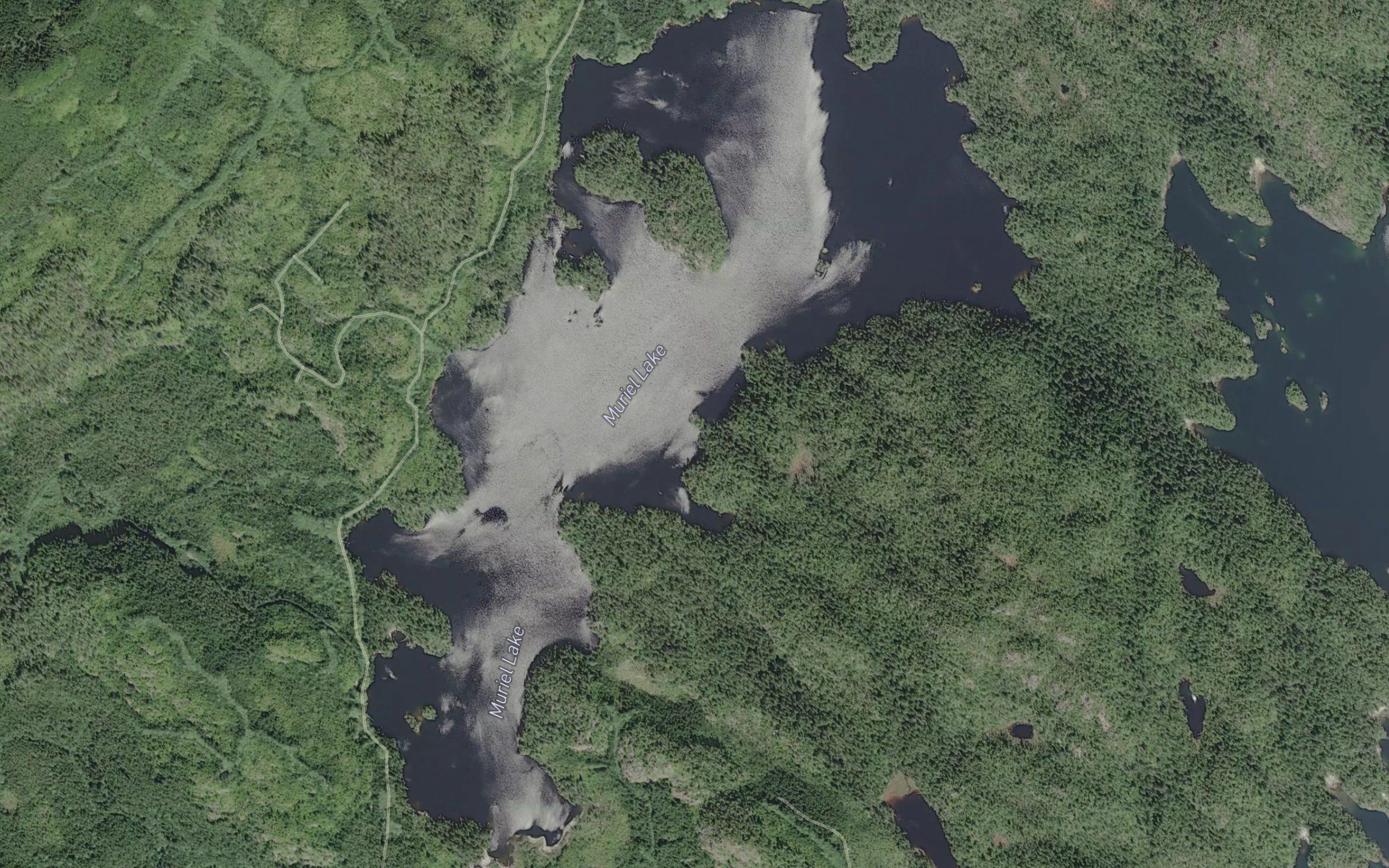 Muriel Lake