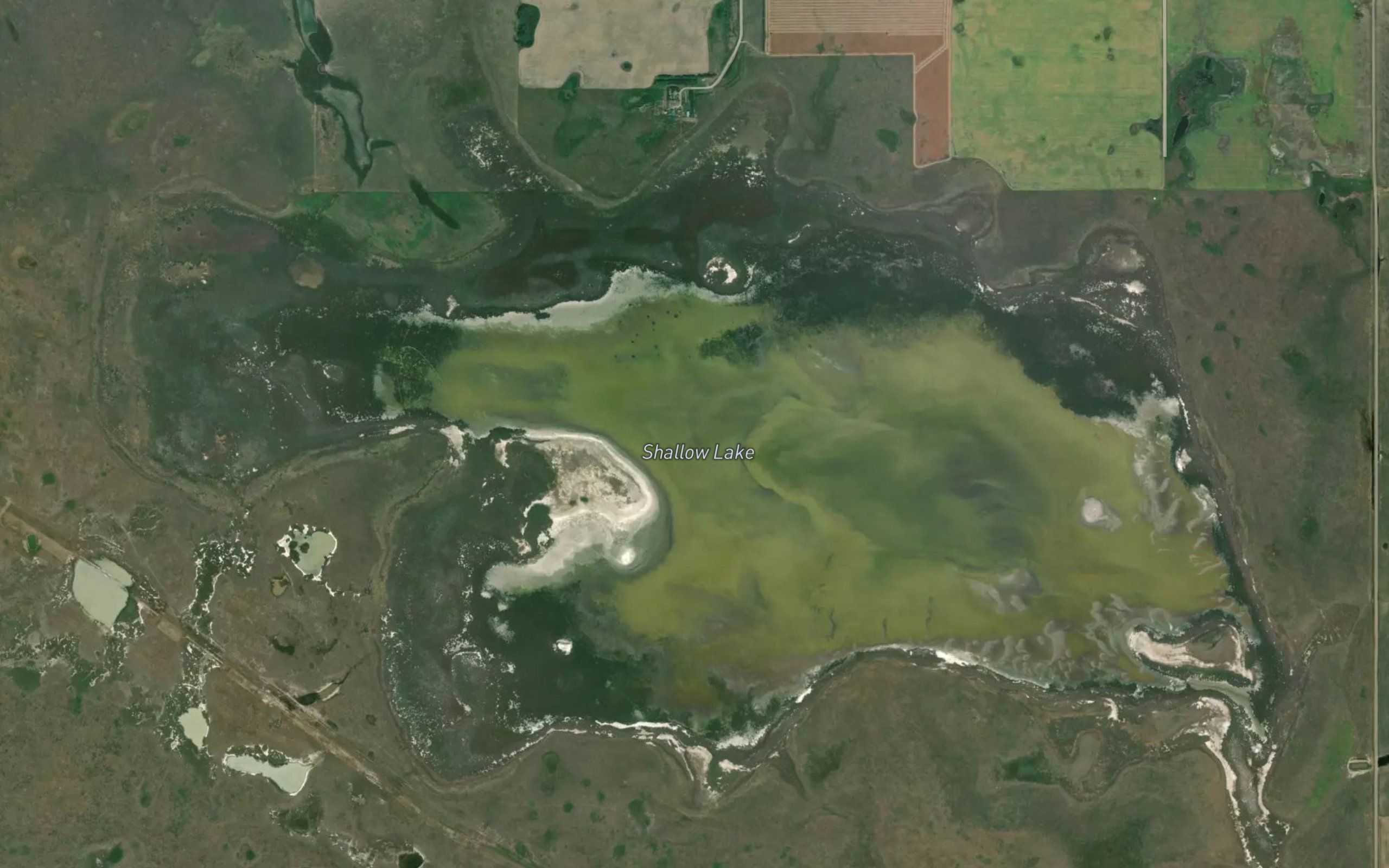 Shallow Lake