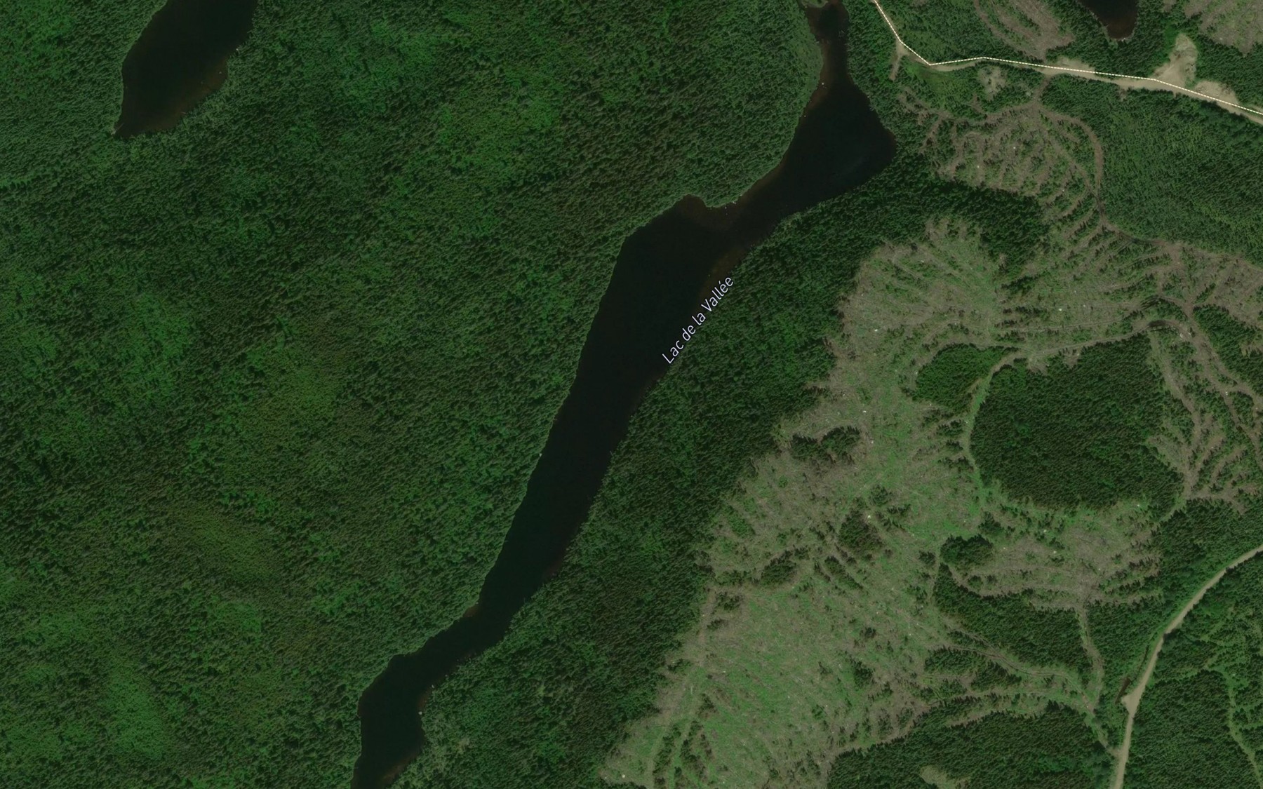 Satellite map of the Lac de la Vallee
