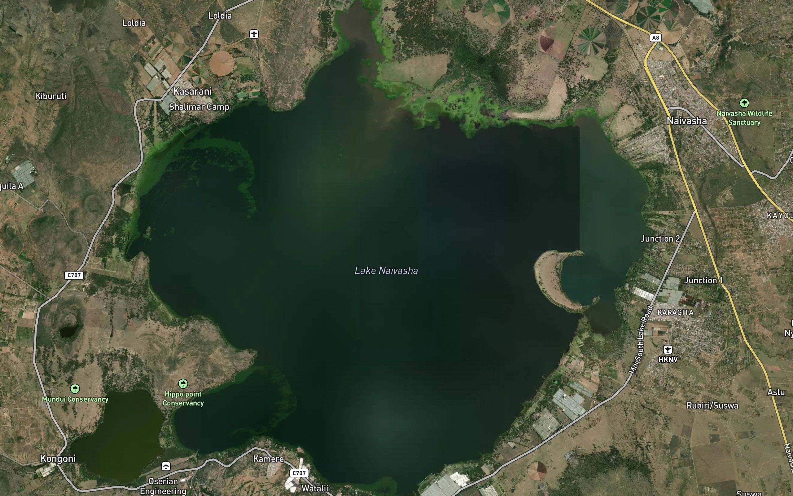 Lake Naivasha