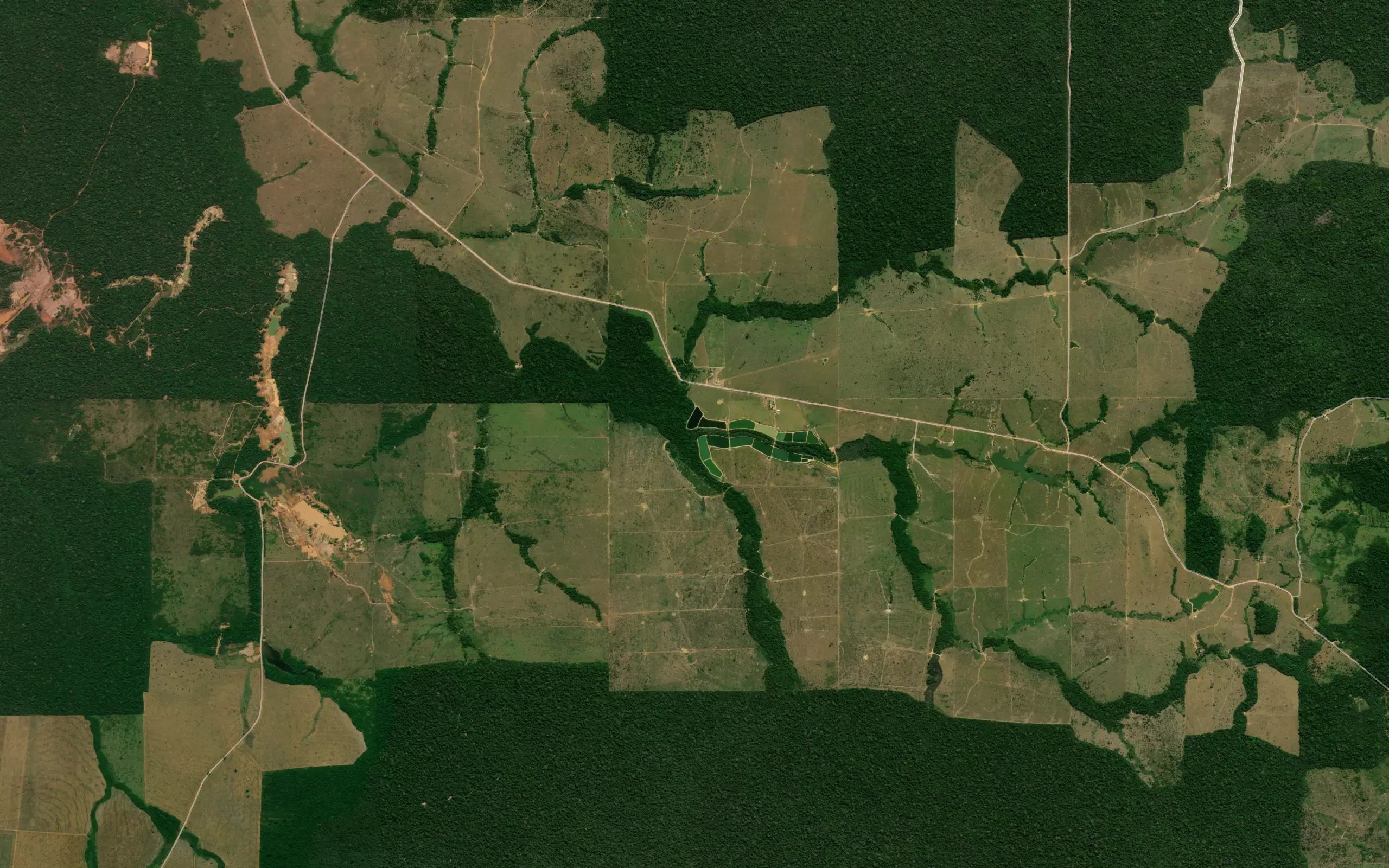 Igarape Bom Futuro do Sul