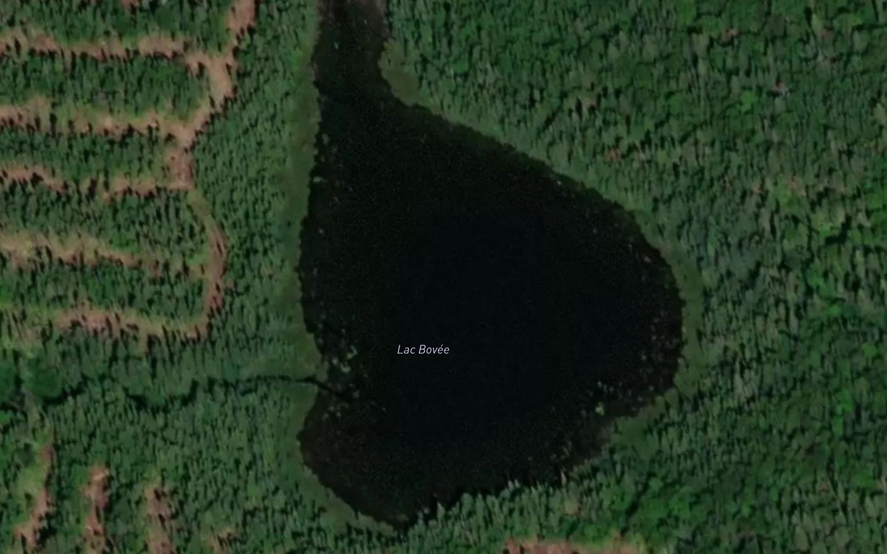 Satellite map of the Lac Bovee