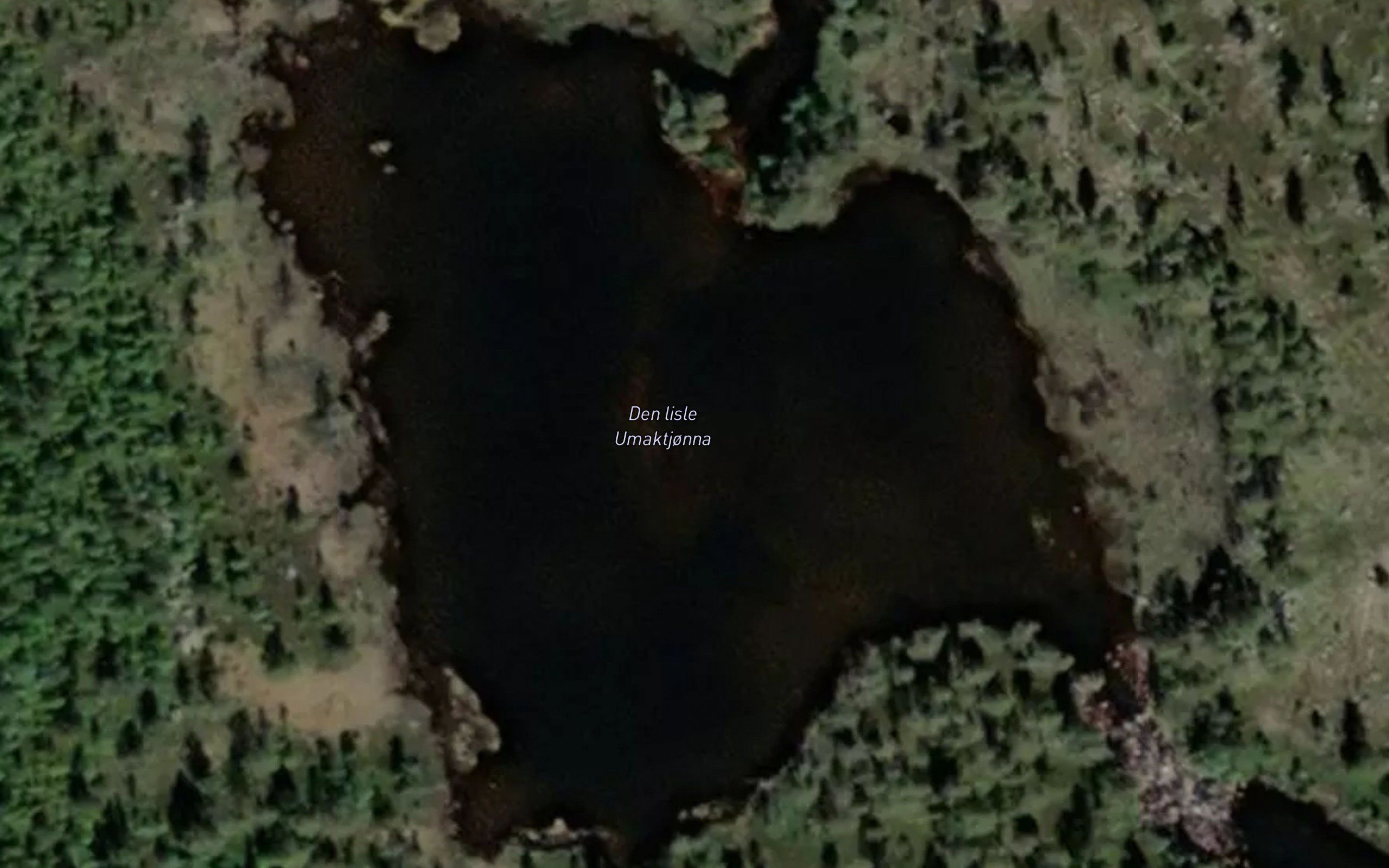 Den lisle Umaktjonna