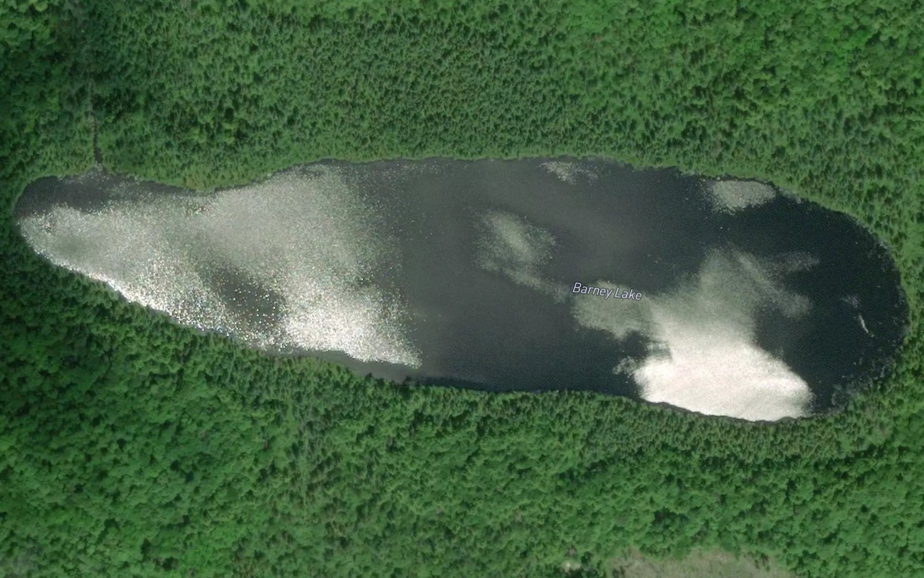 Satellite map of the Barney Lake