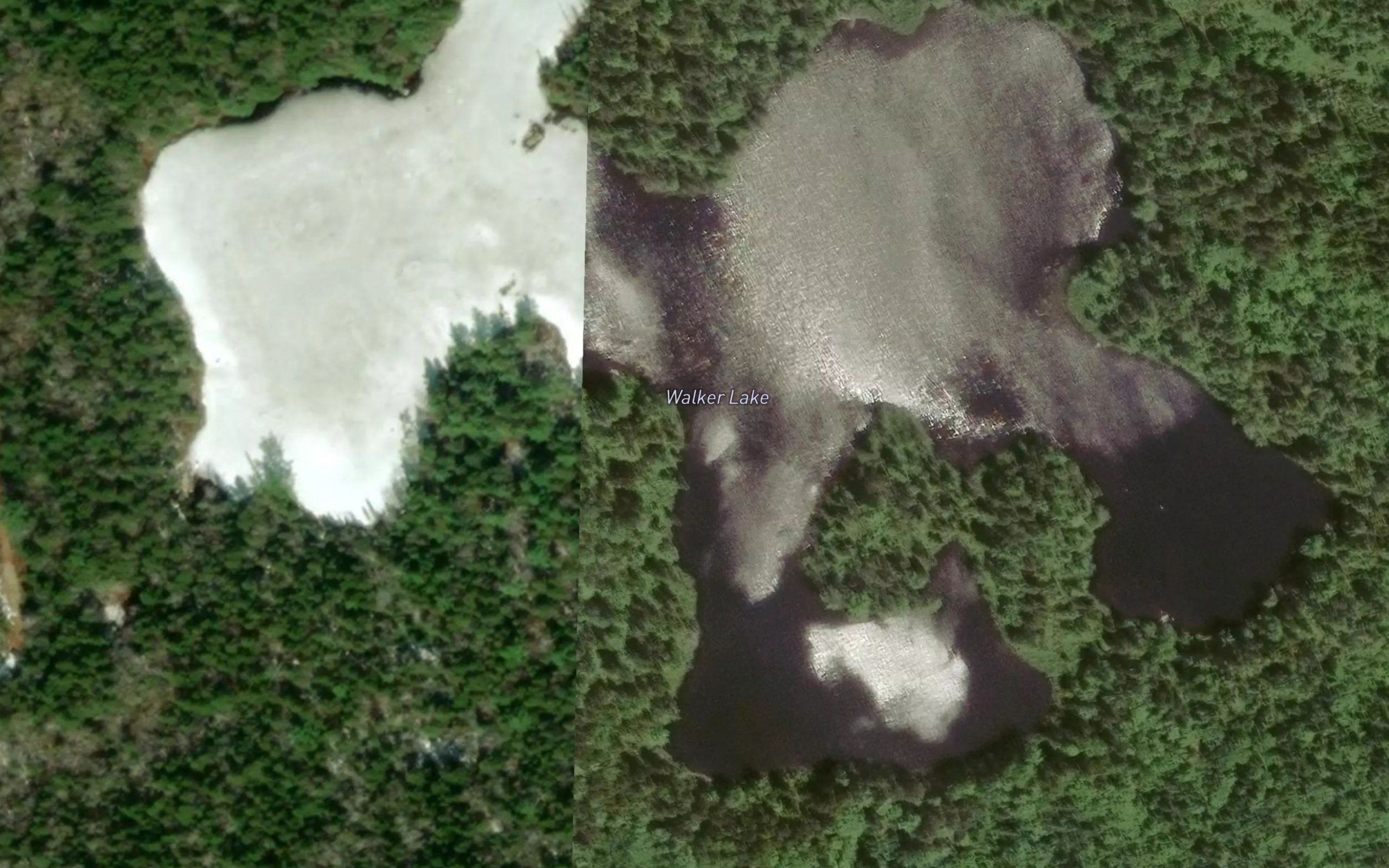 Walker Lake