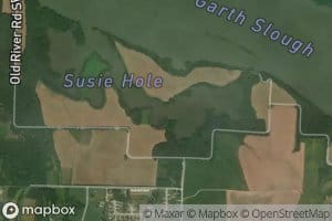 Susie Hole