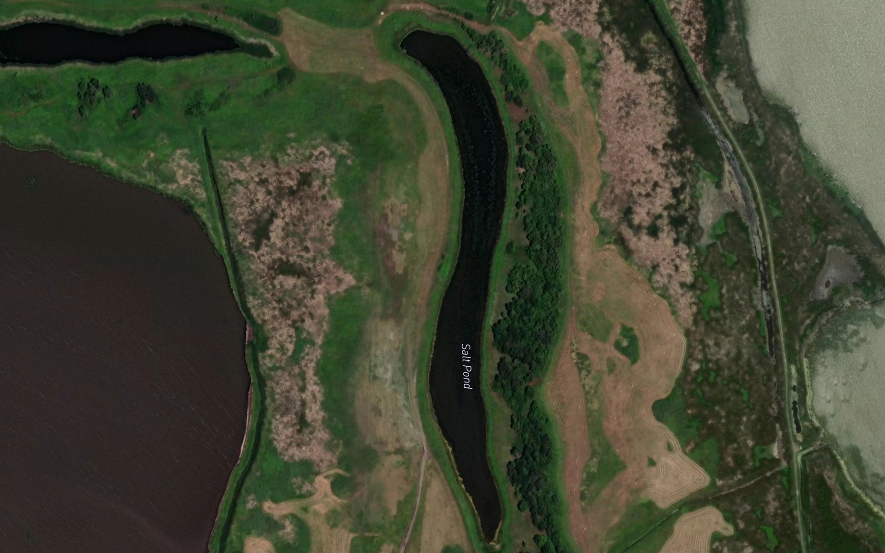 Satellite map of the Salt Pond