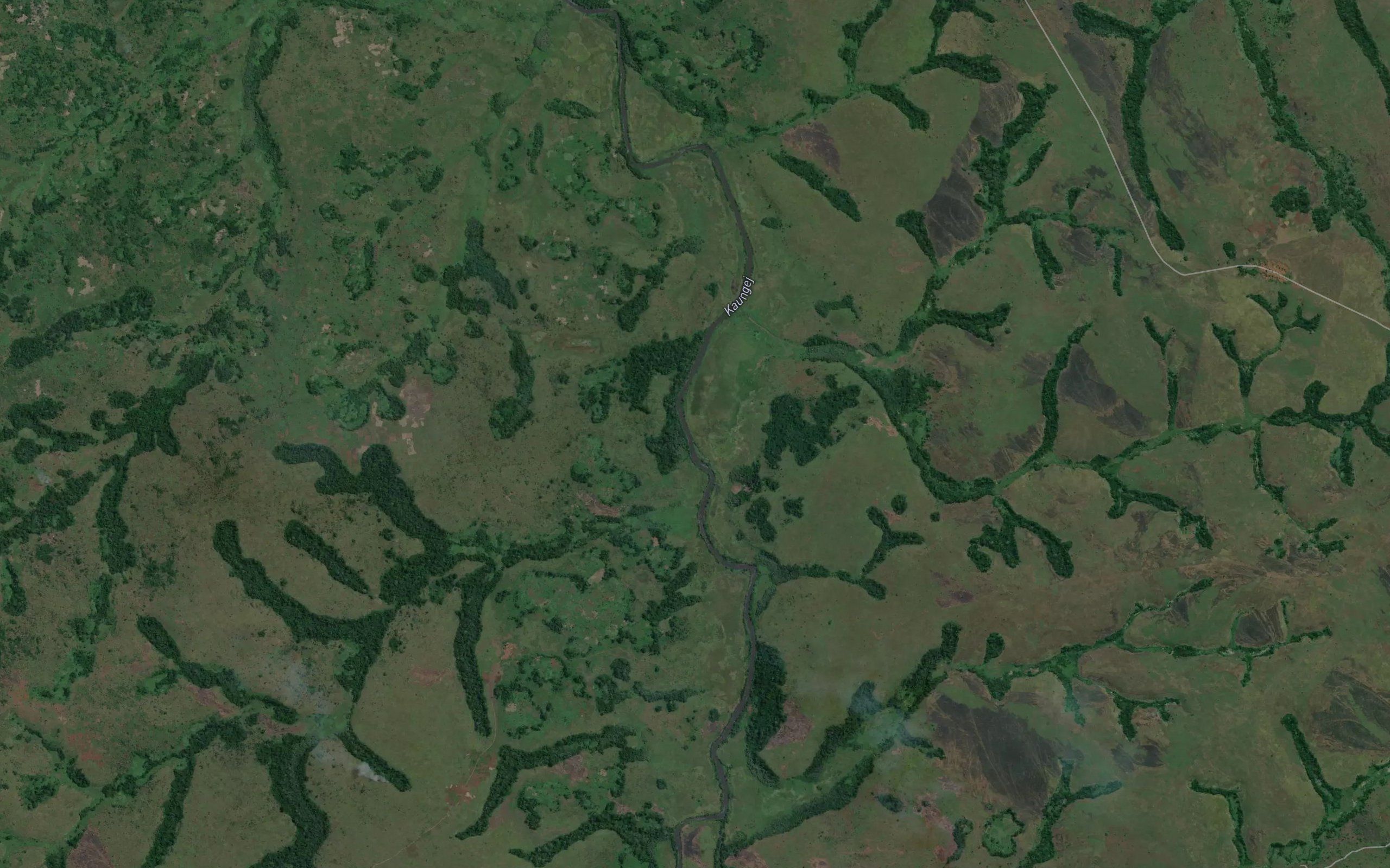 Ngadikai