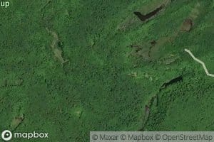 East Branch Lowney Creek