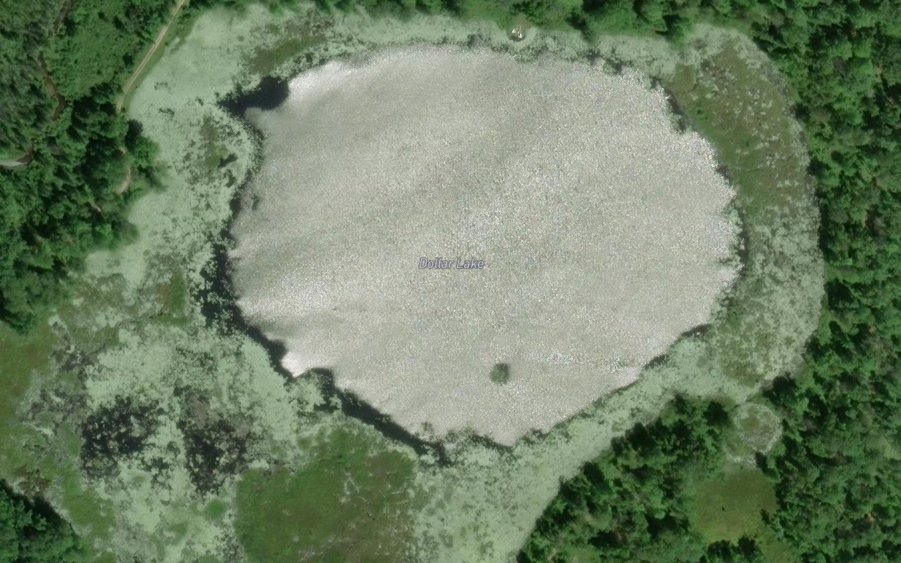 Satellite map of the Dollar Lake