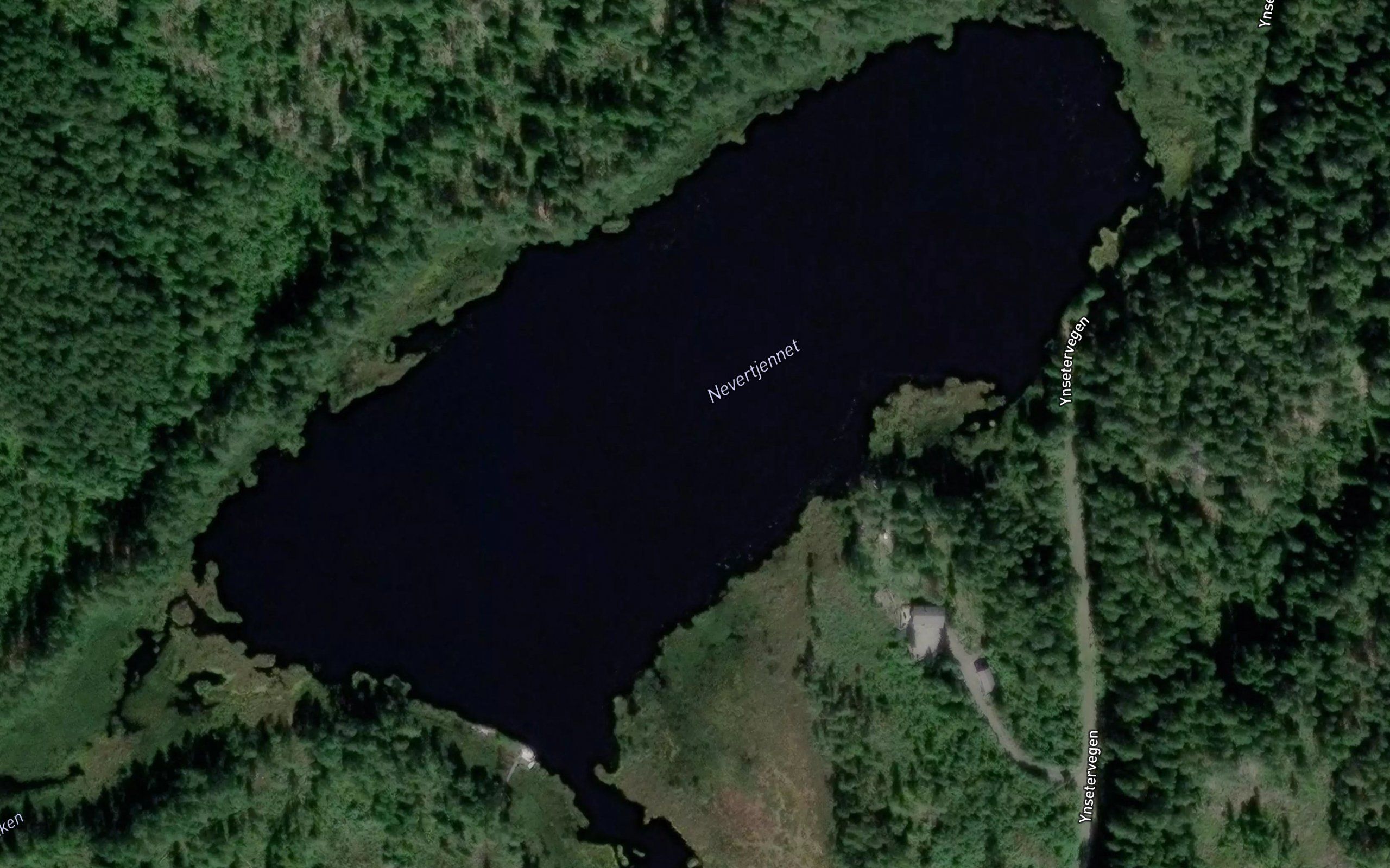 Nevertjernet