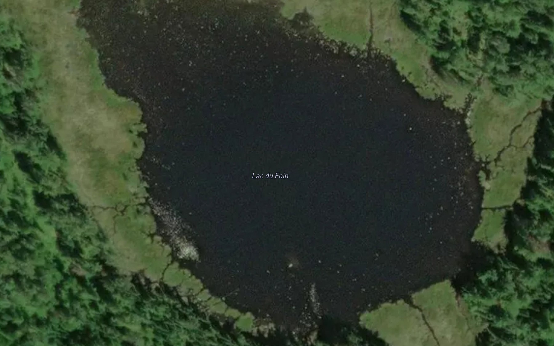 Satellite map of the Lac du Foin