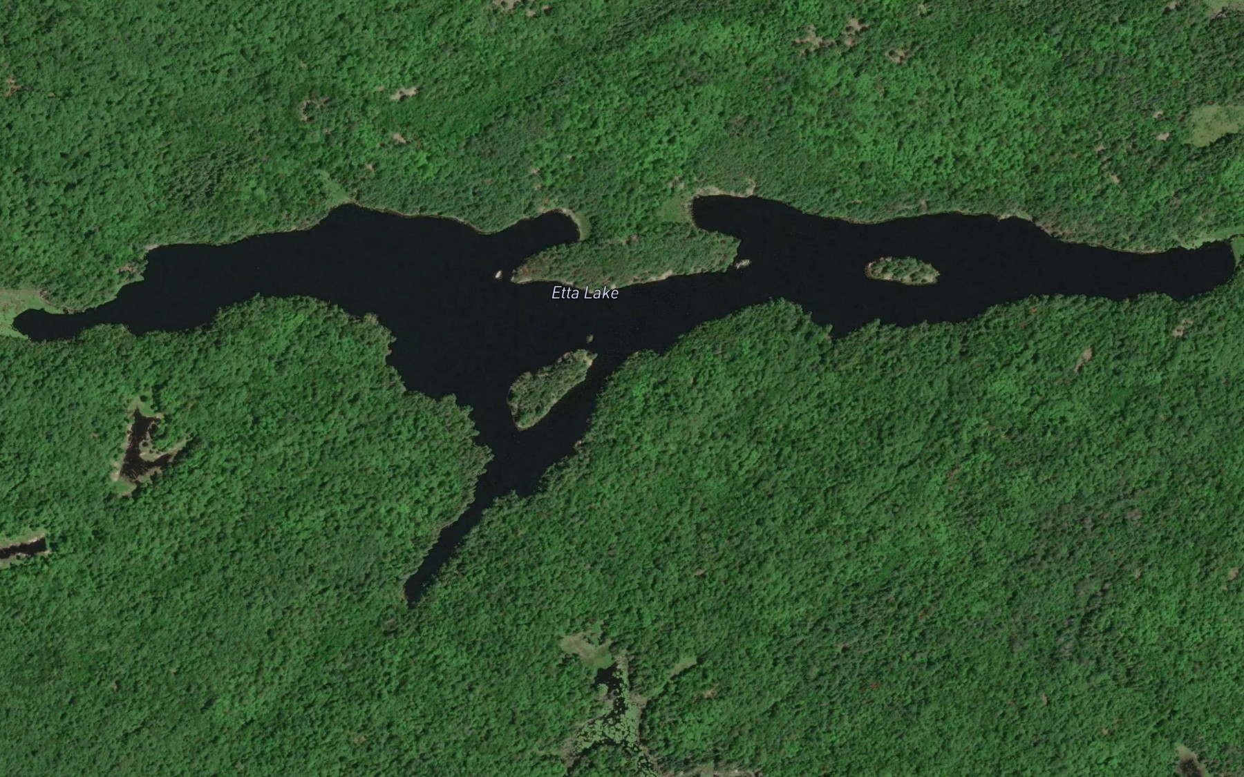Satellite map of the Etta Lake