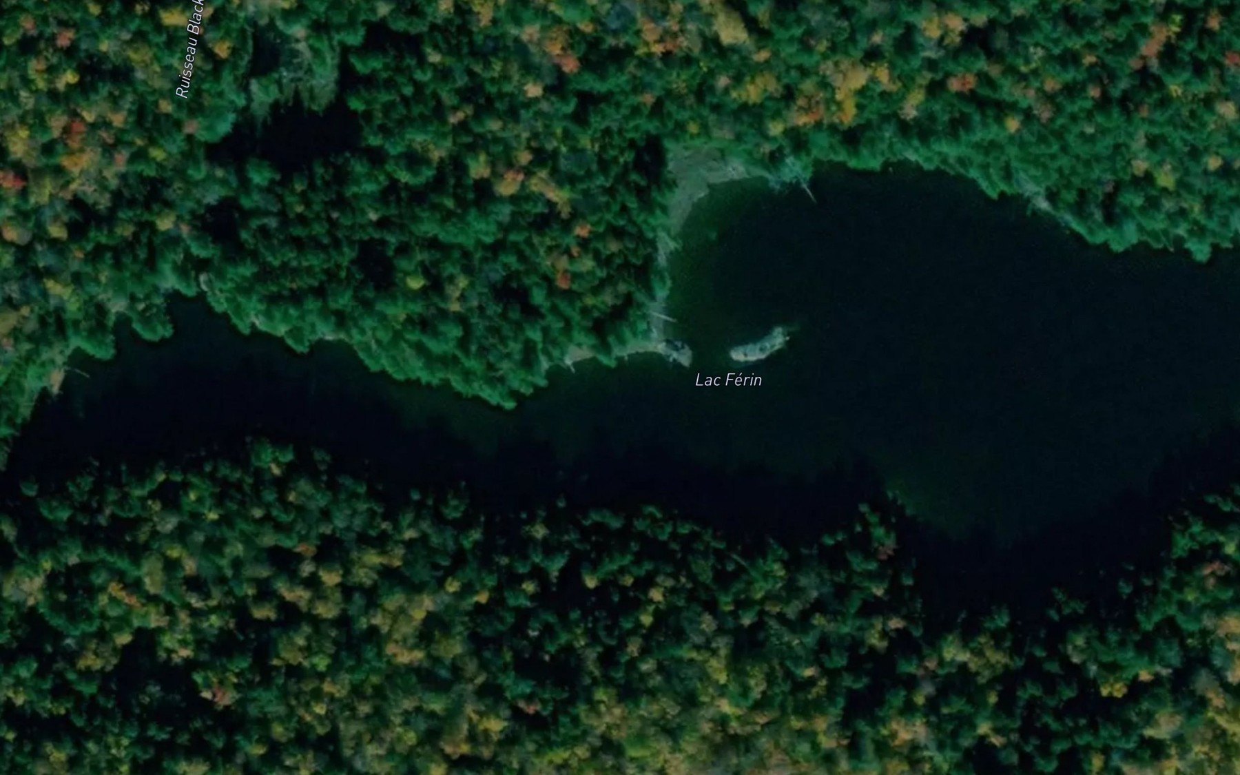 Satellite map of the Lac Ferin