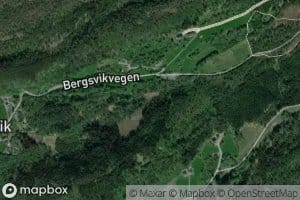 Bergsvikgrova