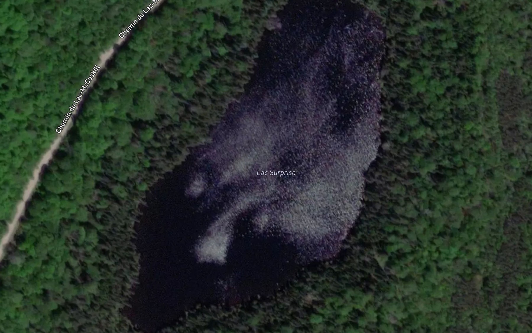 Satellite map of the Lac Surprise