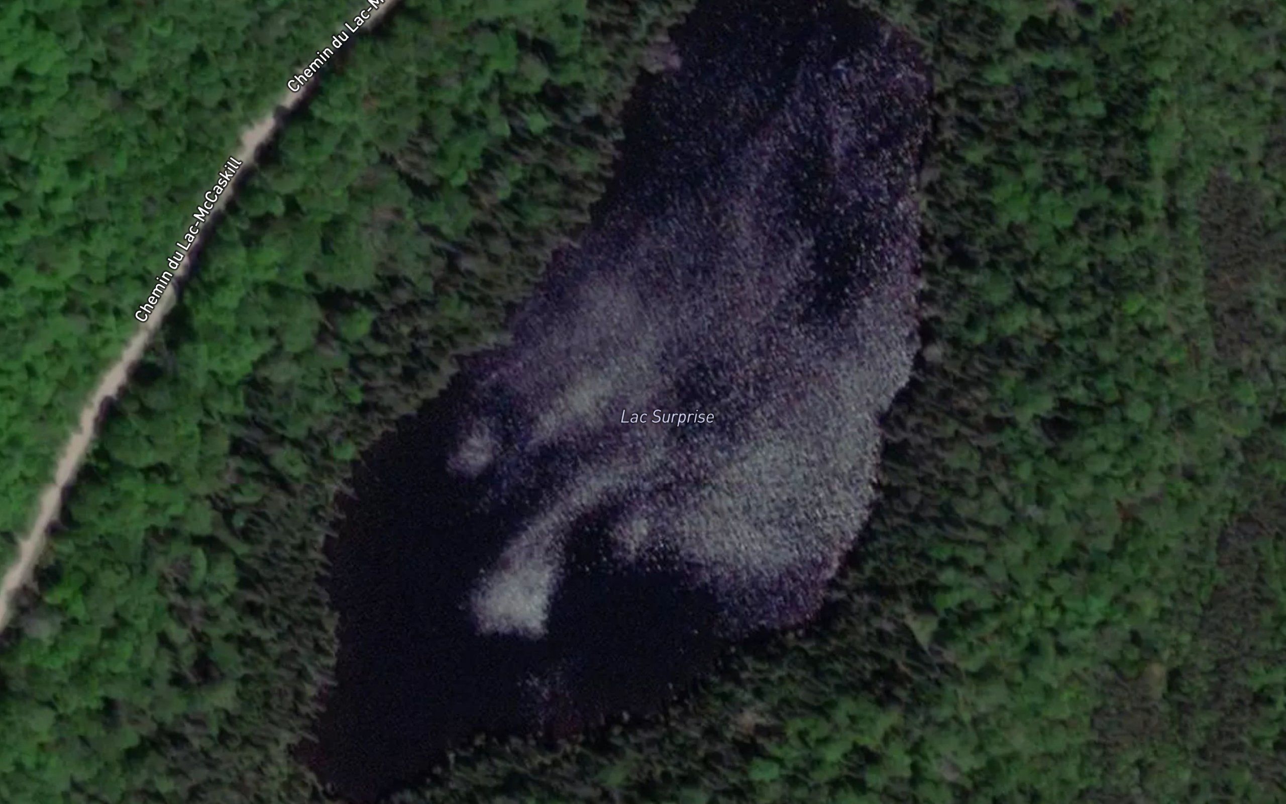 Lac Surprise