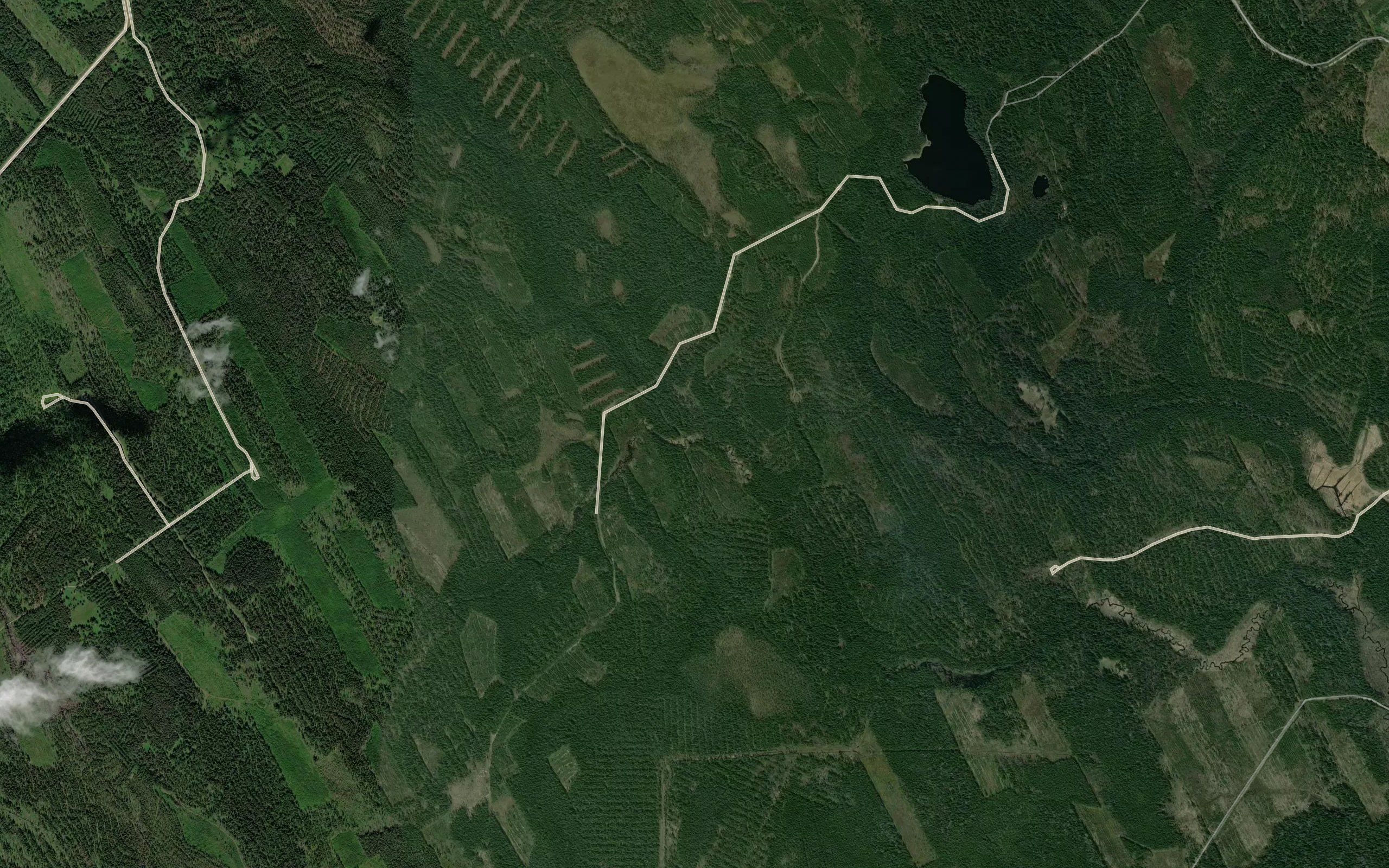 Varayoki