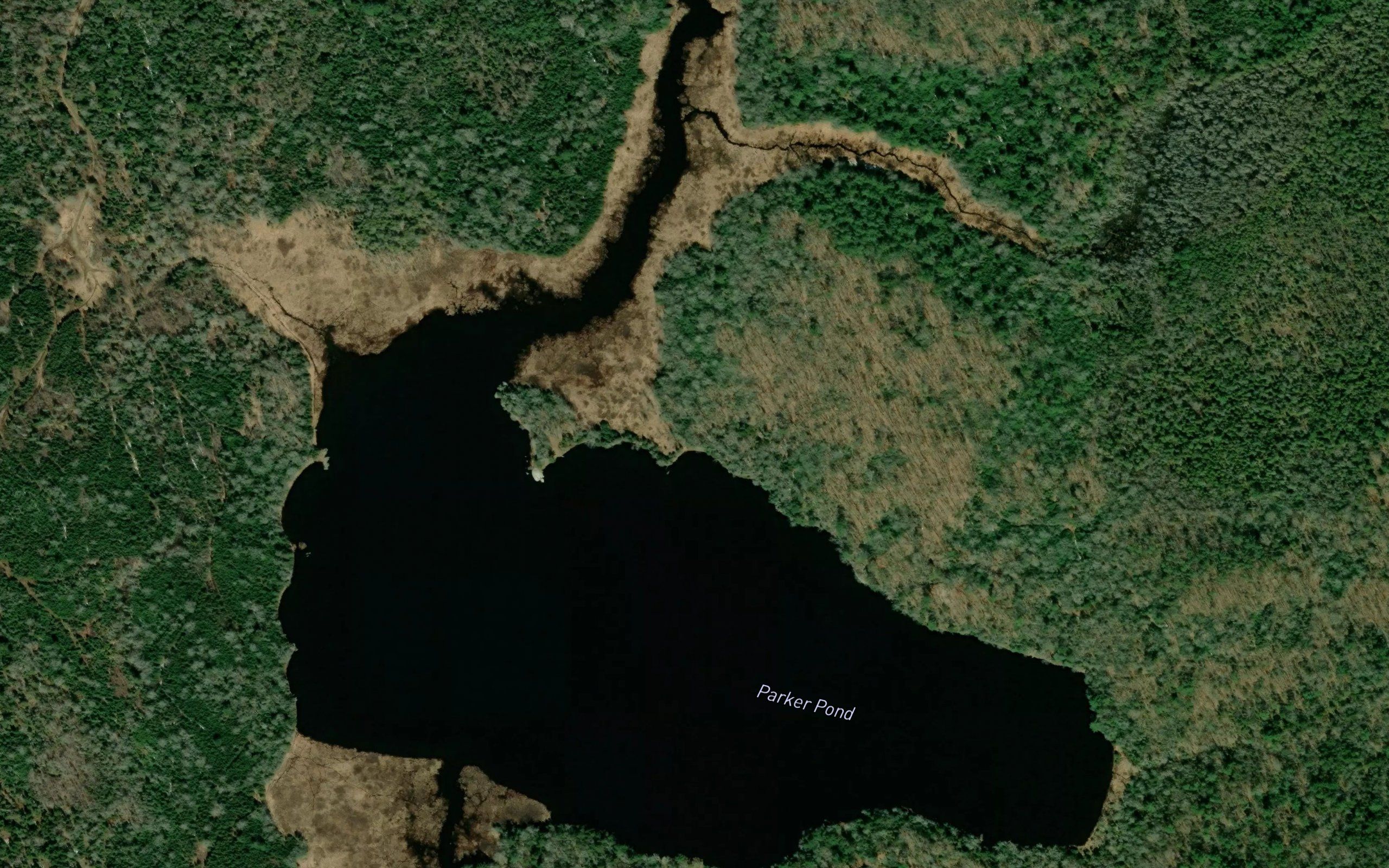 Parker Pond