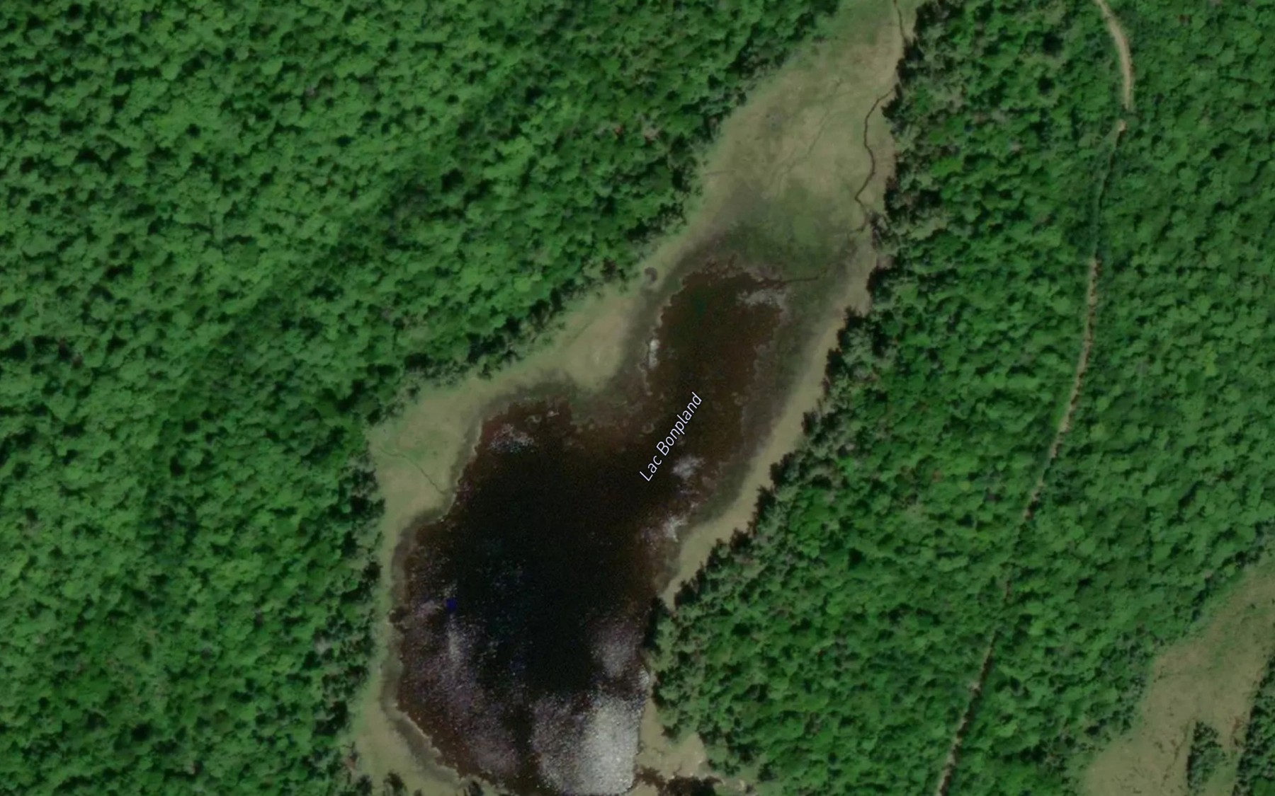 Satellite map of the Lac Bonpland