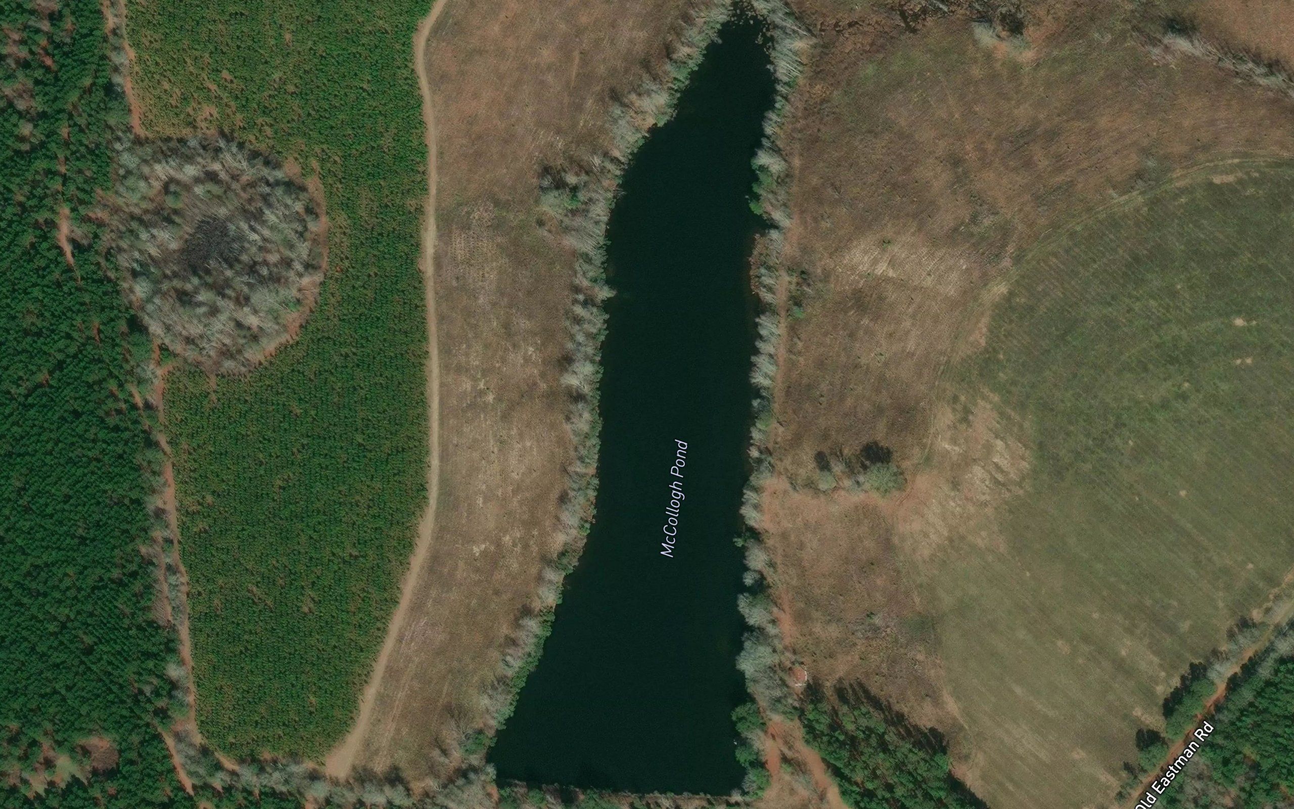 McCollogh Pond