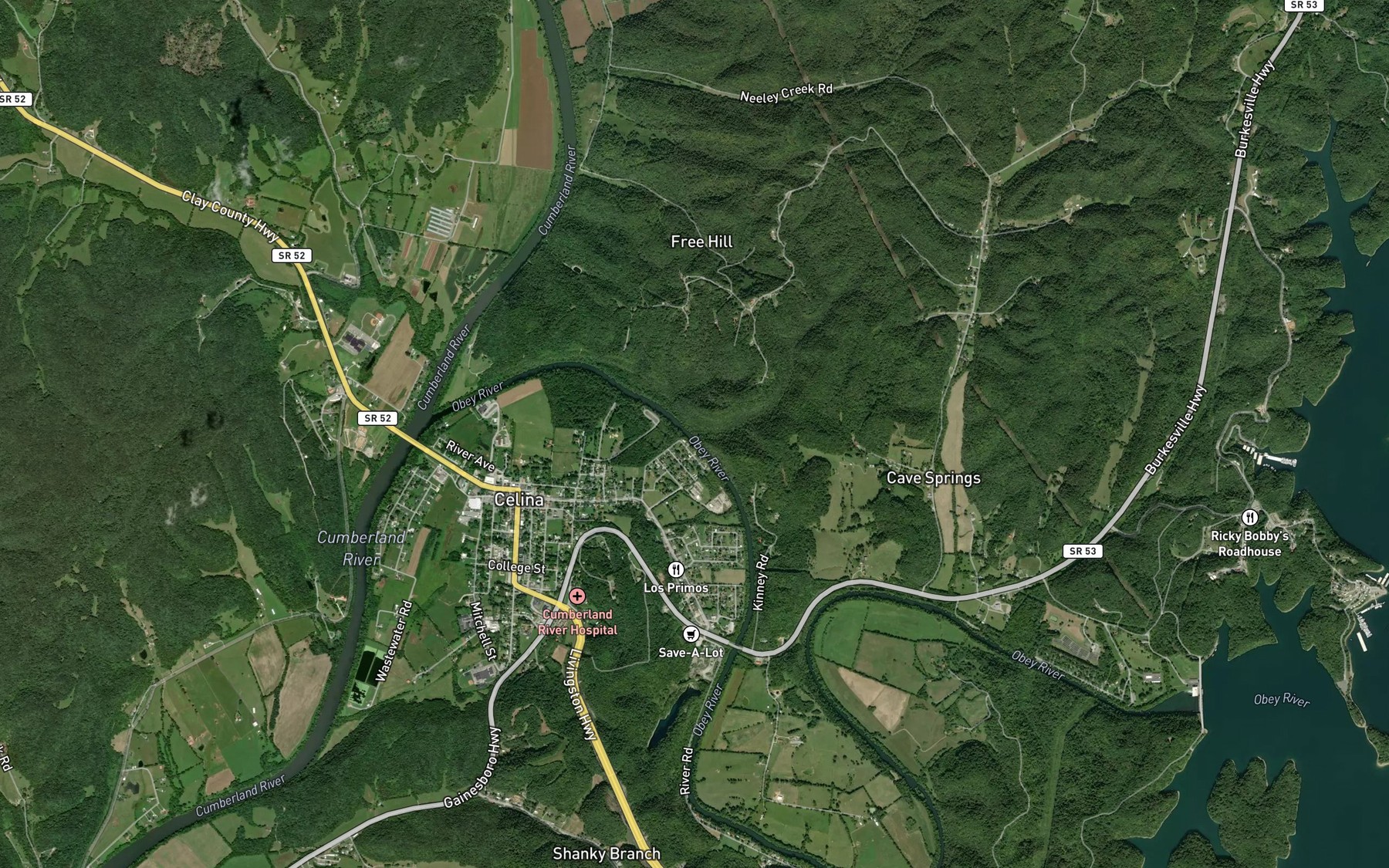 Satellite map of the Long Branch