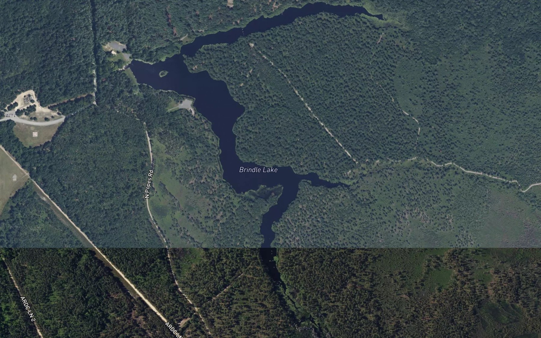 Satellite map of the Brindle Lake