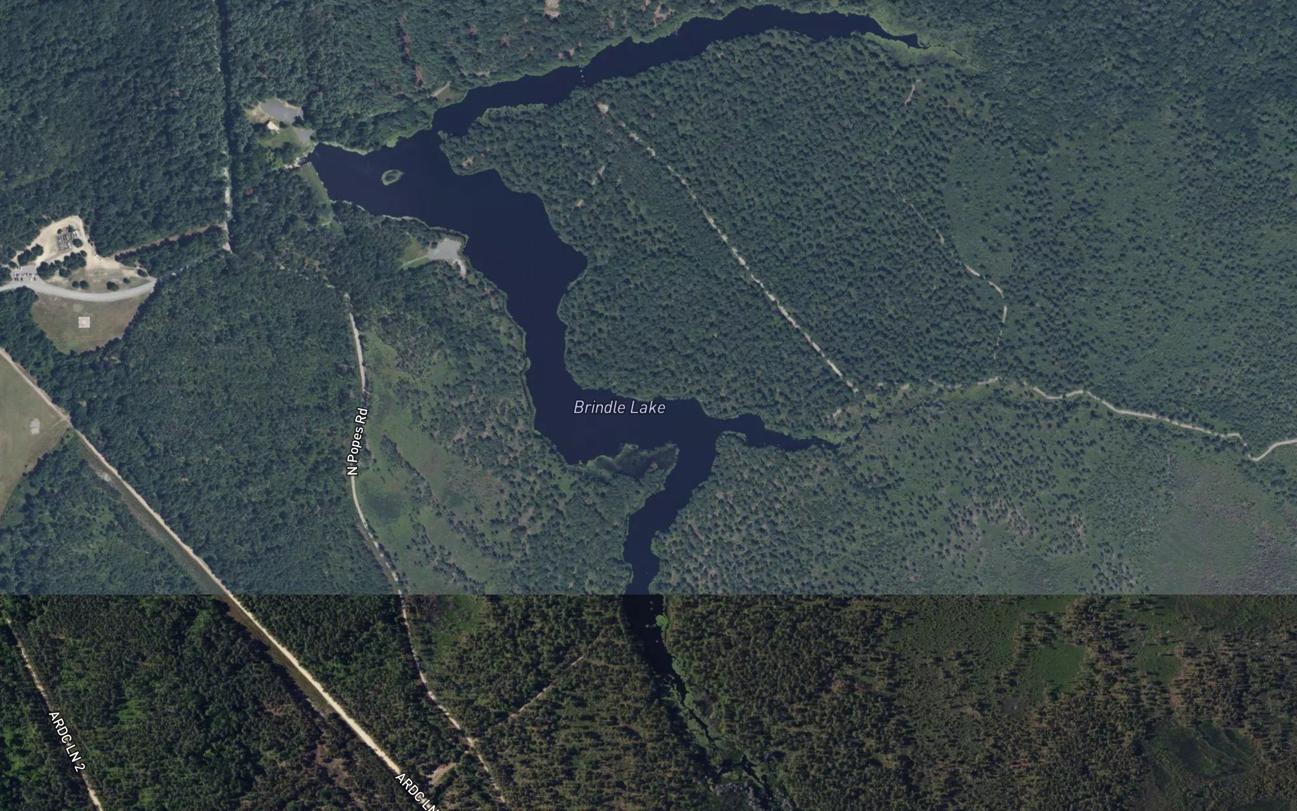 Brindle Lake