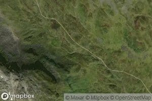 Fossene