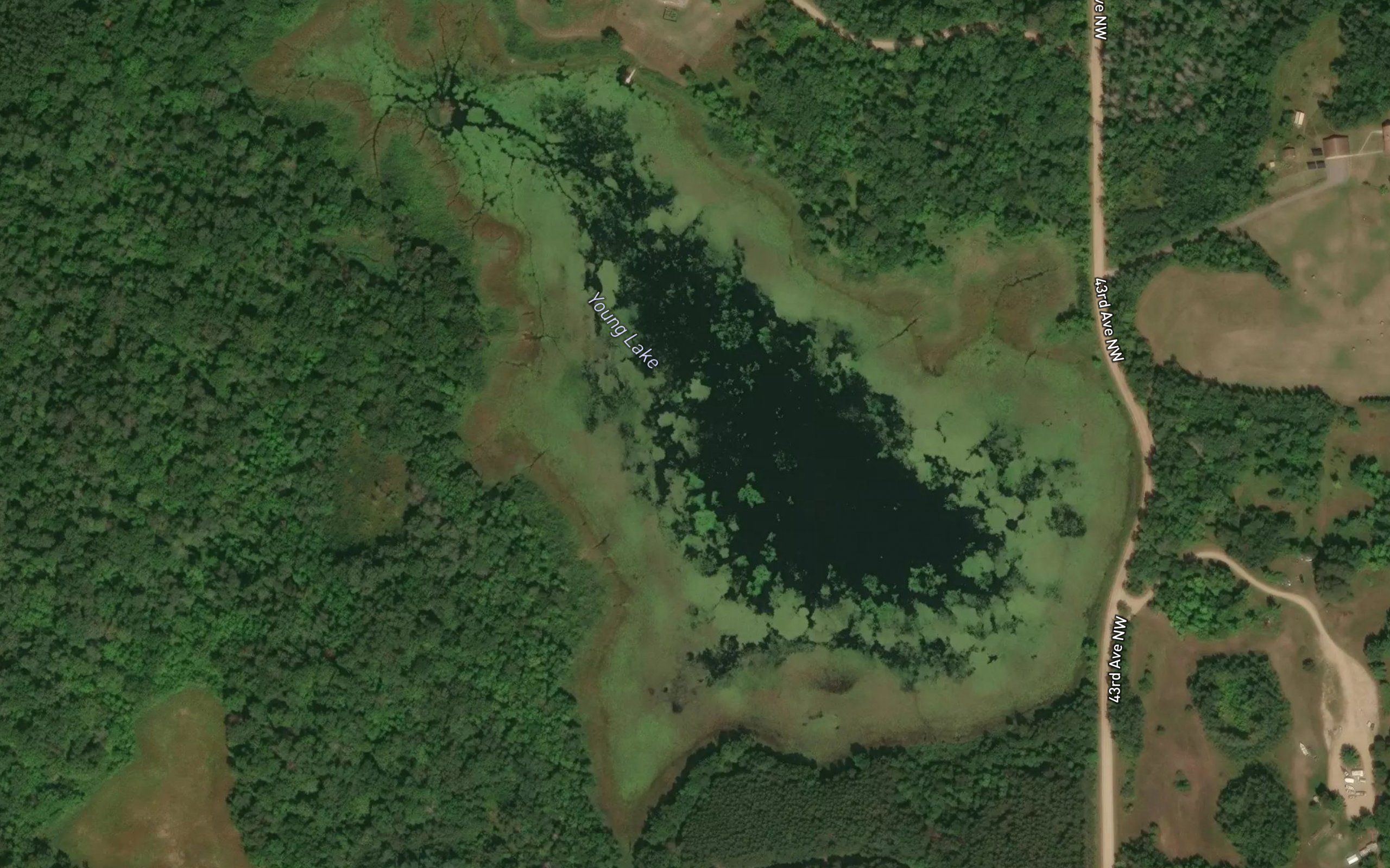 Young Lake