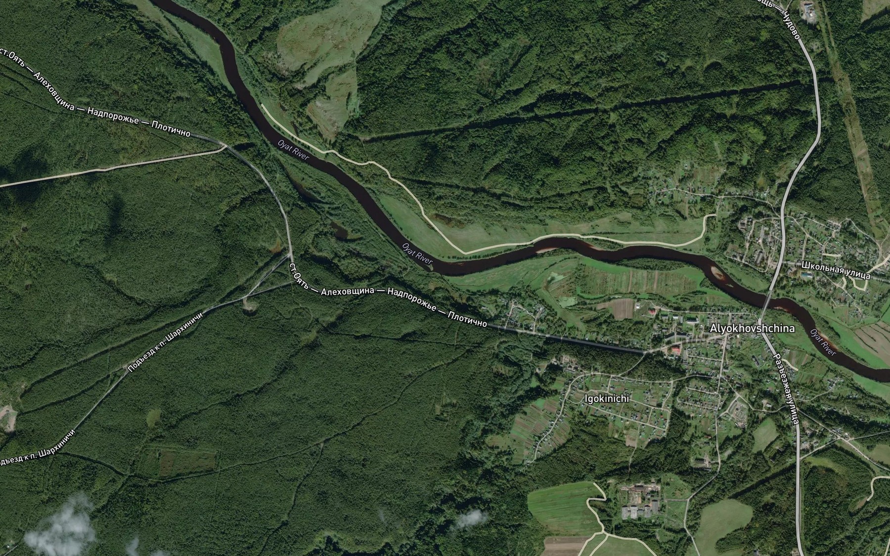 Satellite map of the Viliga