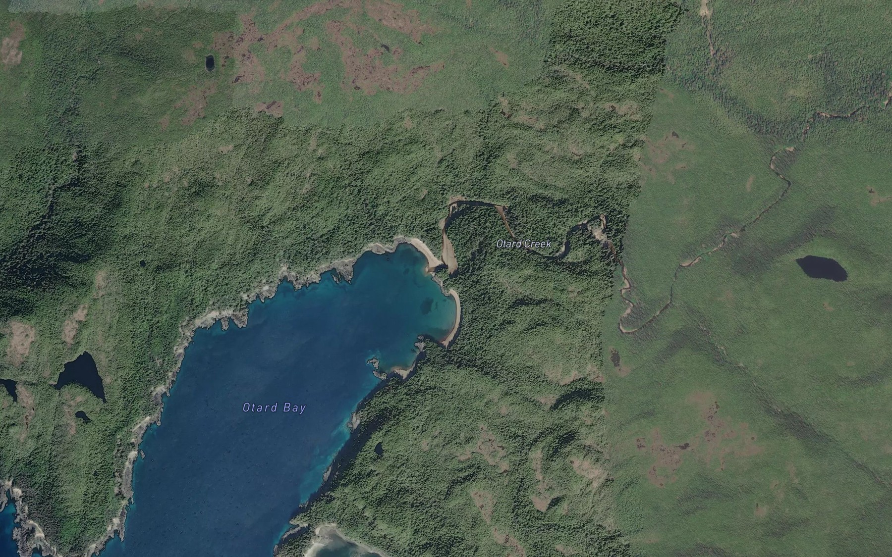 Satellite map of the Otard Creek