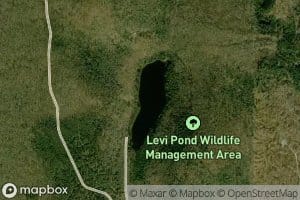 Levi Pond