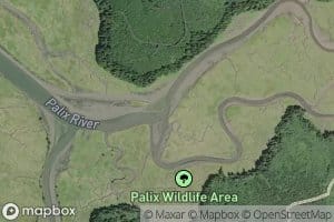 North Fork Palix River