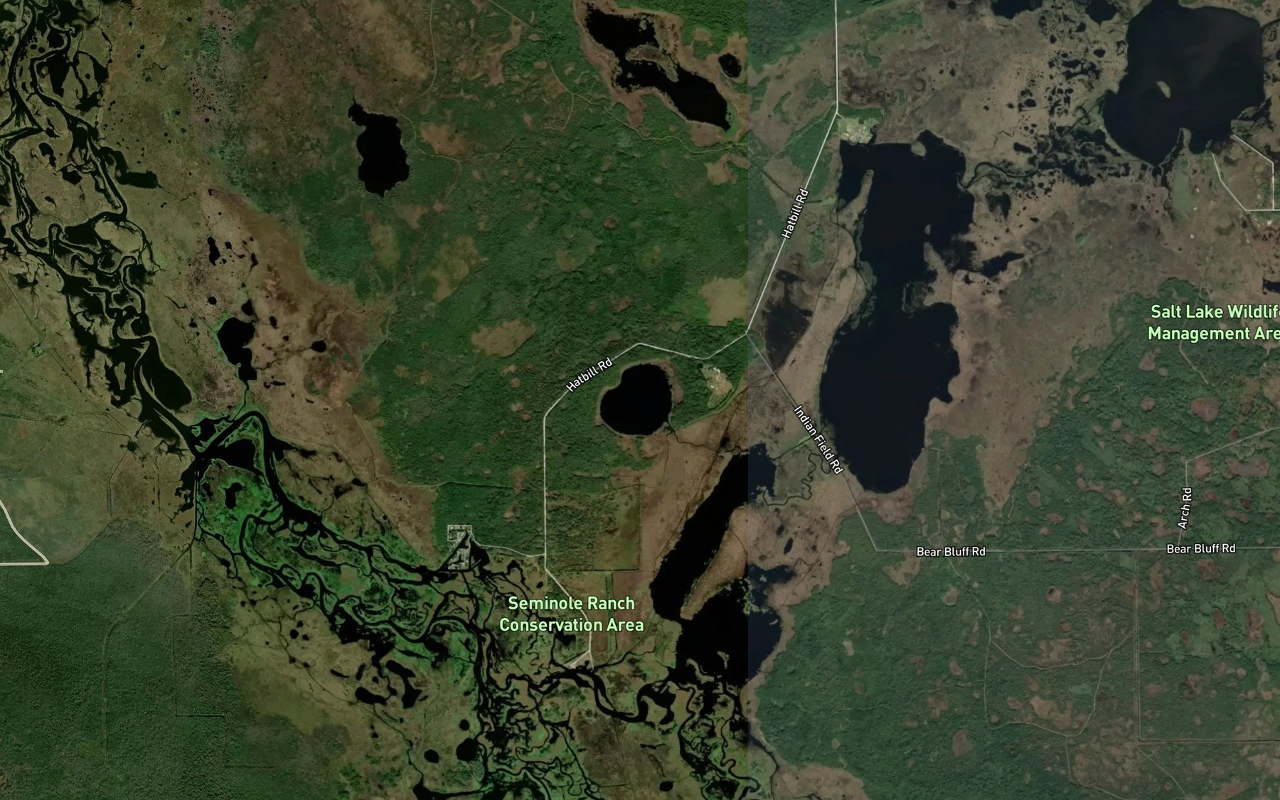 Satellite map of the Silver Lake