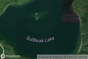 Gullbeak Lake