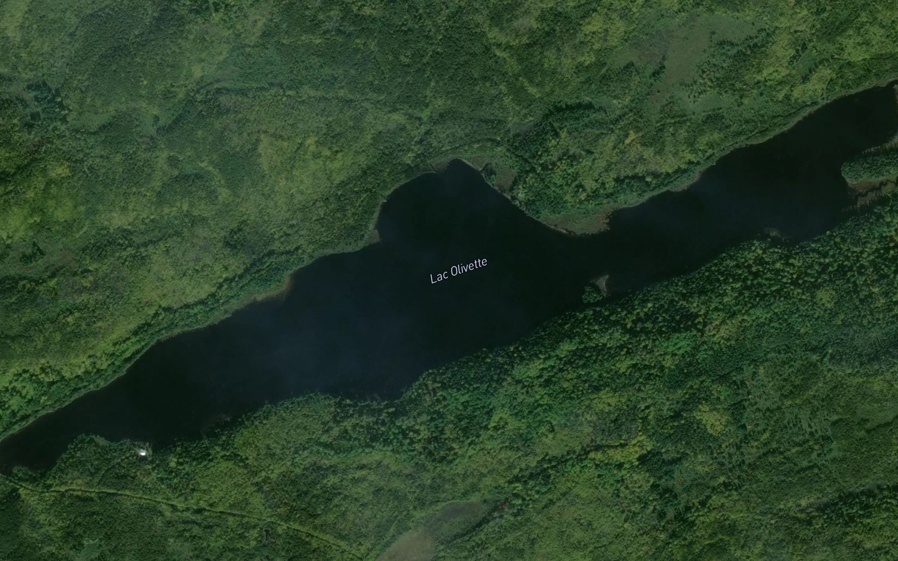Satellite map of the Lac Olivette