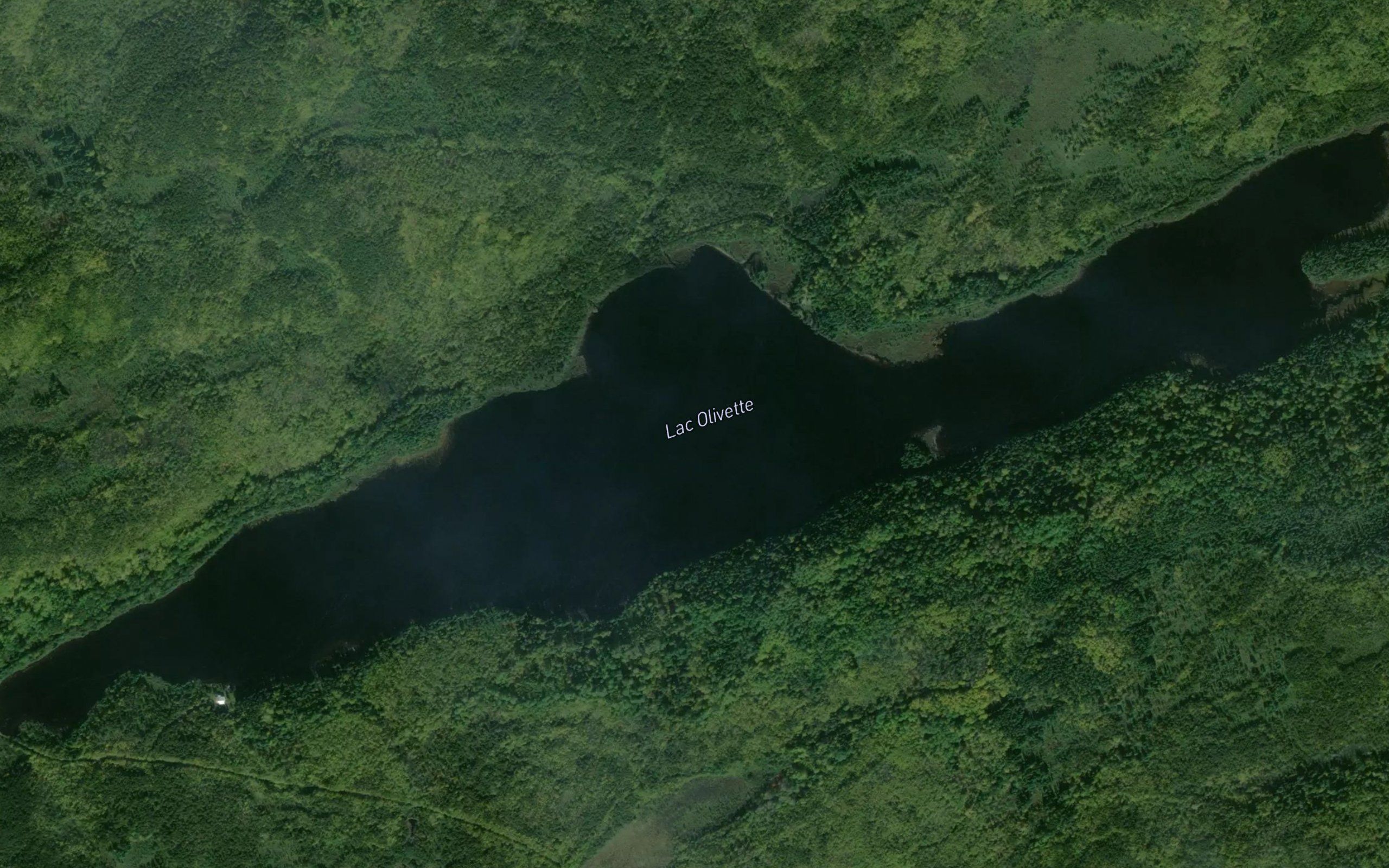 Lac Olivette