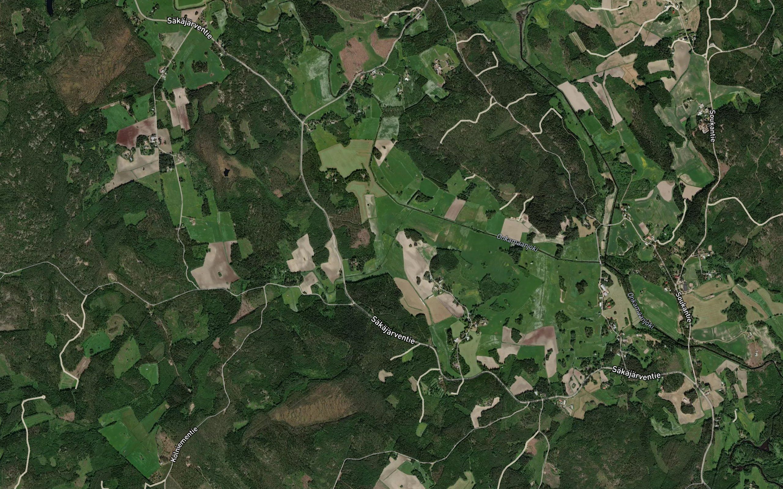 Kankaanoja
