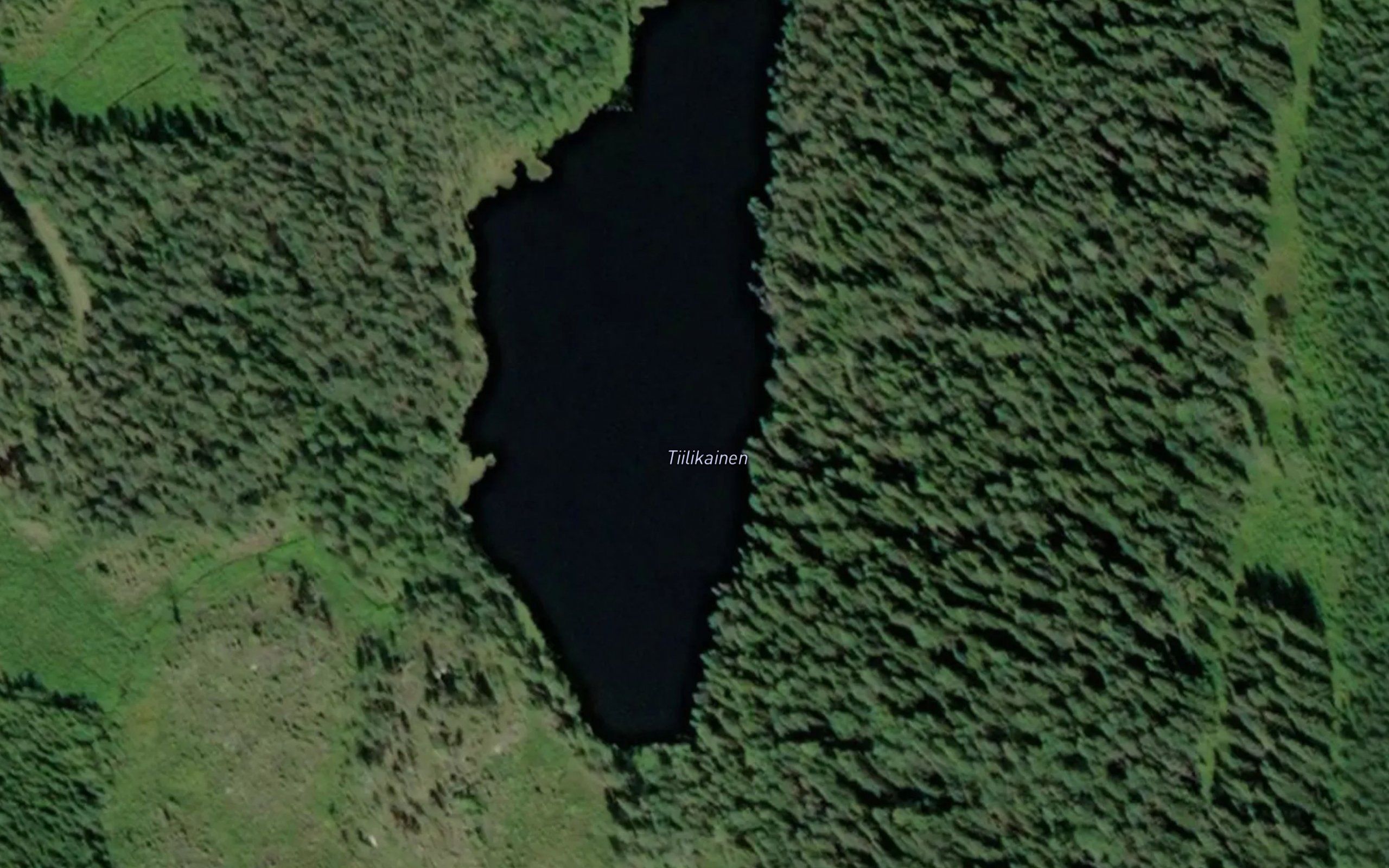 Tiilikainen