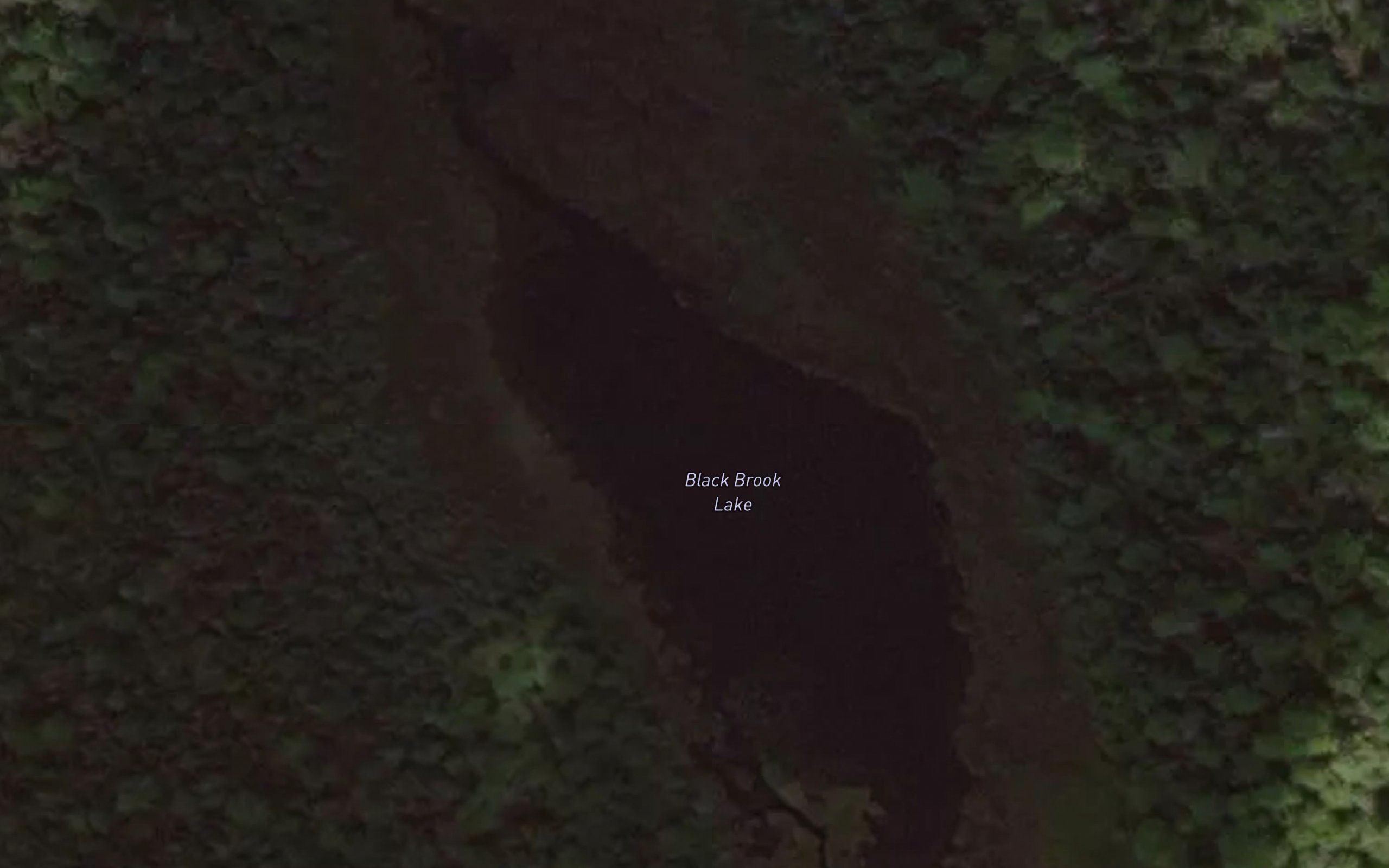 Black Brook Lake