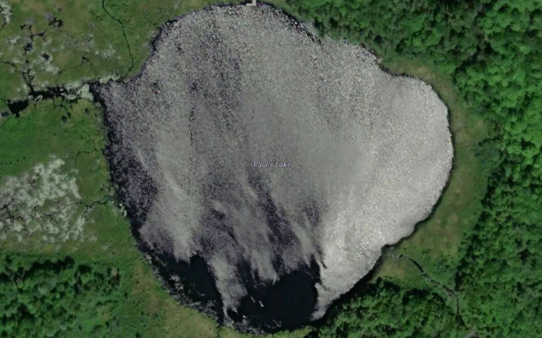 Satellite map of the Paul's Lake