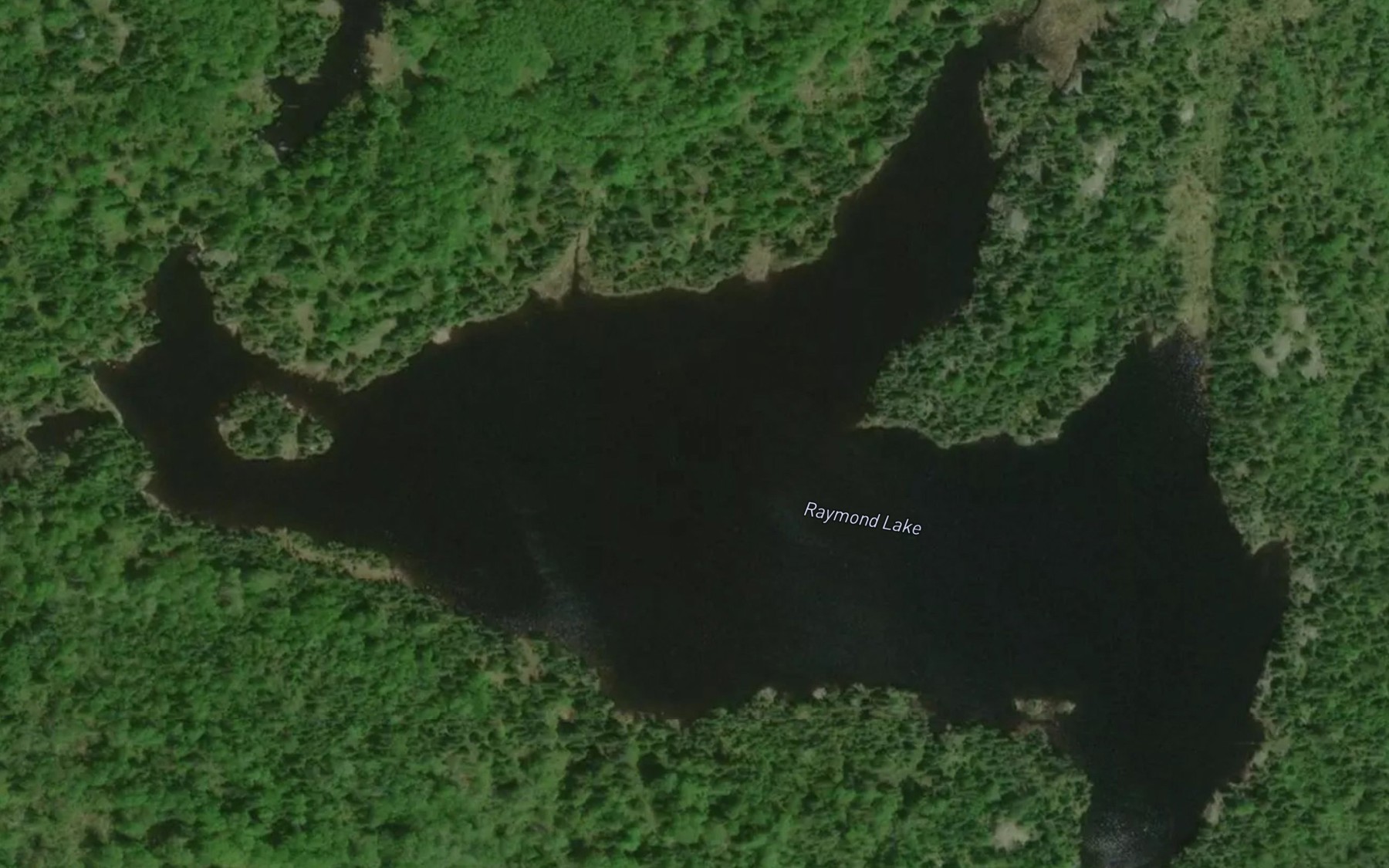 Satellite map of the Raymond Lake