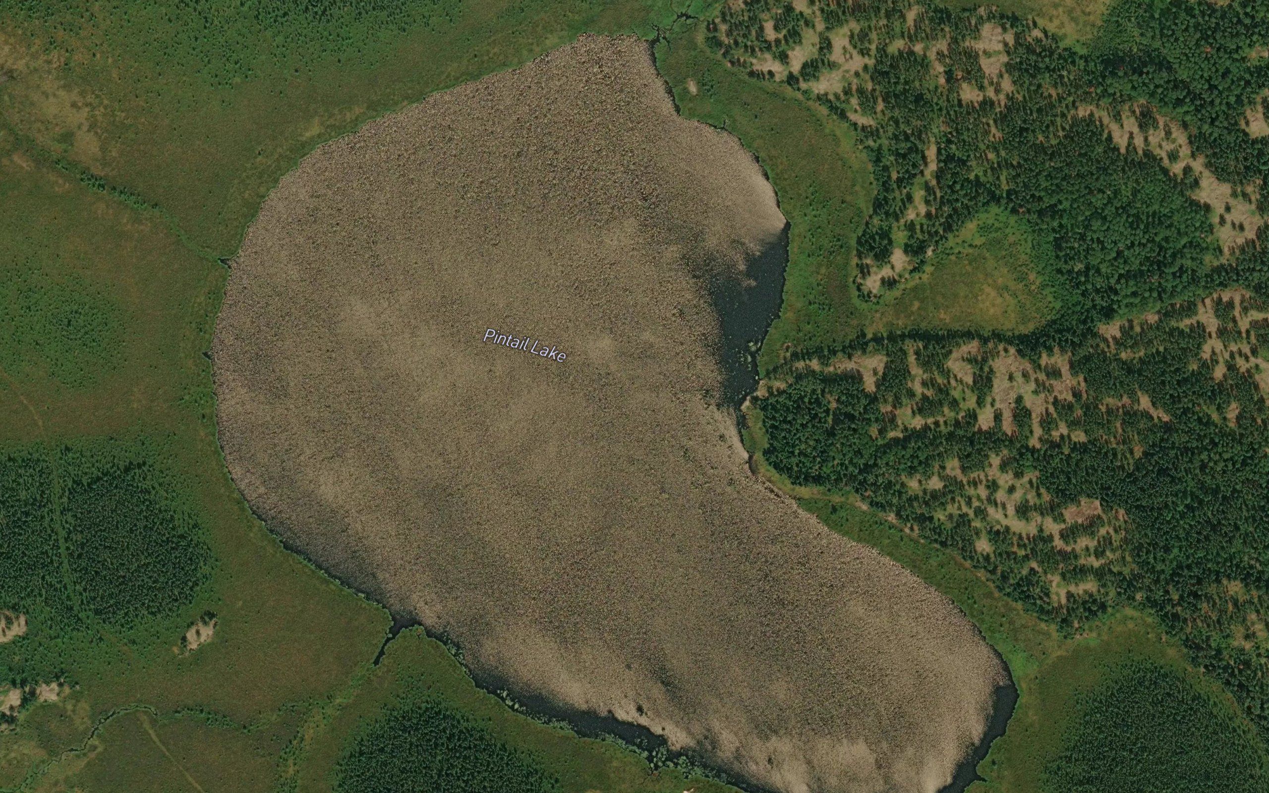 Pintail Lake