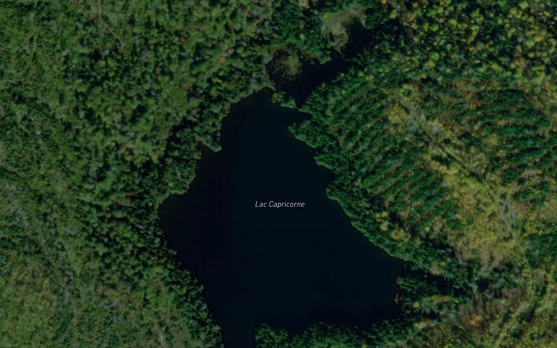 Satellite map of the Lac Capricorne