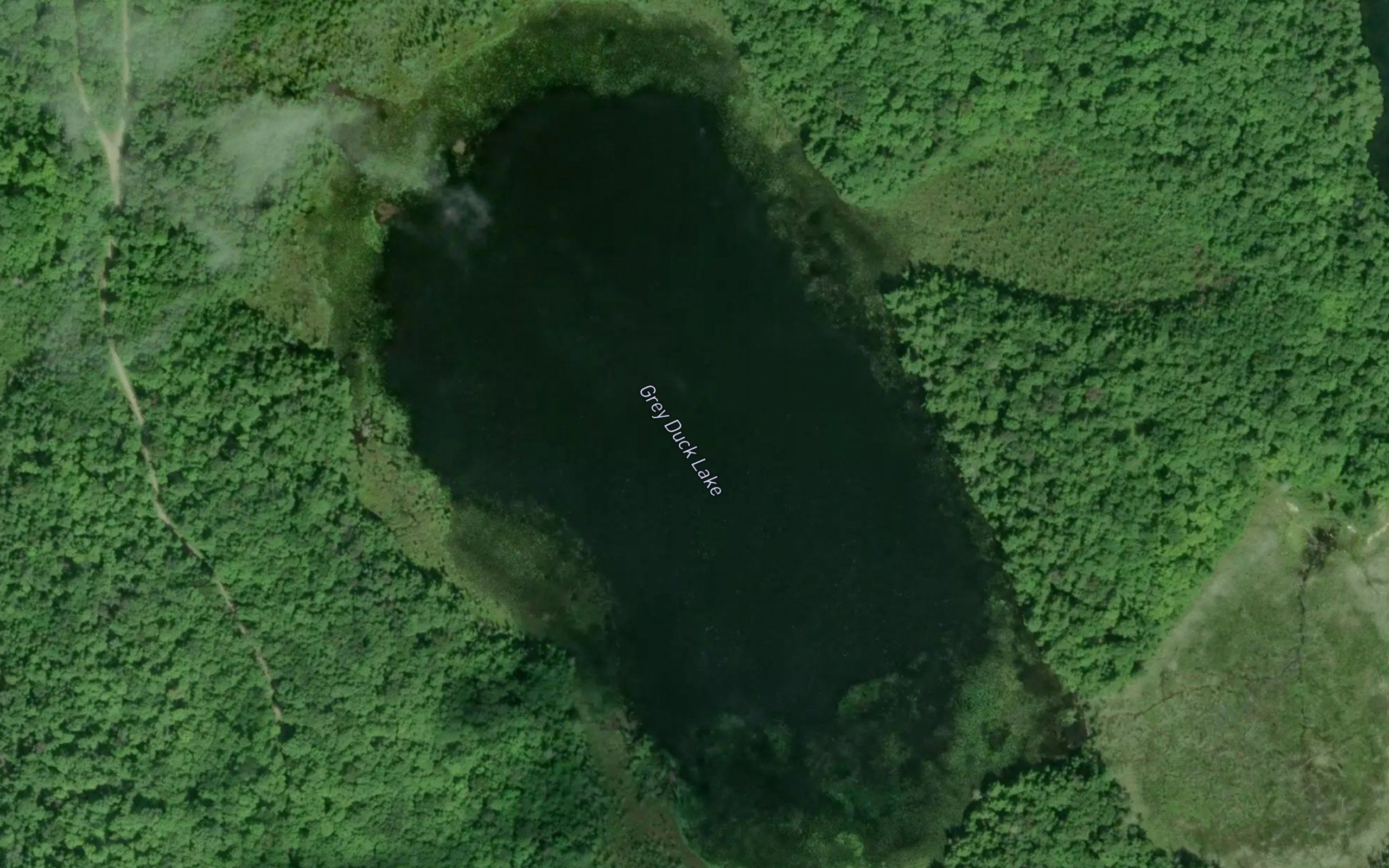 Grey Duck Lake