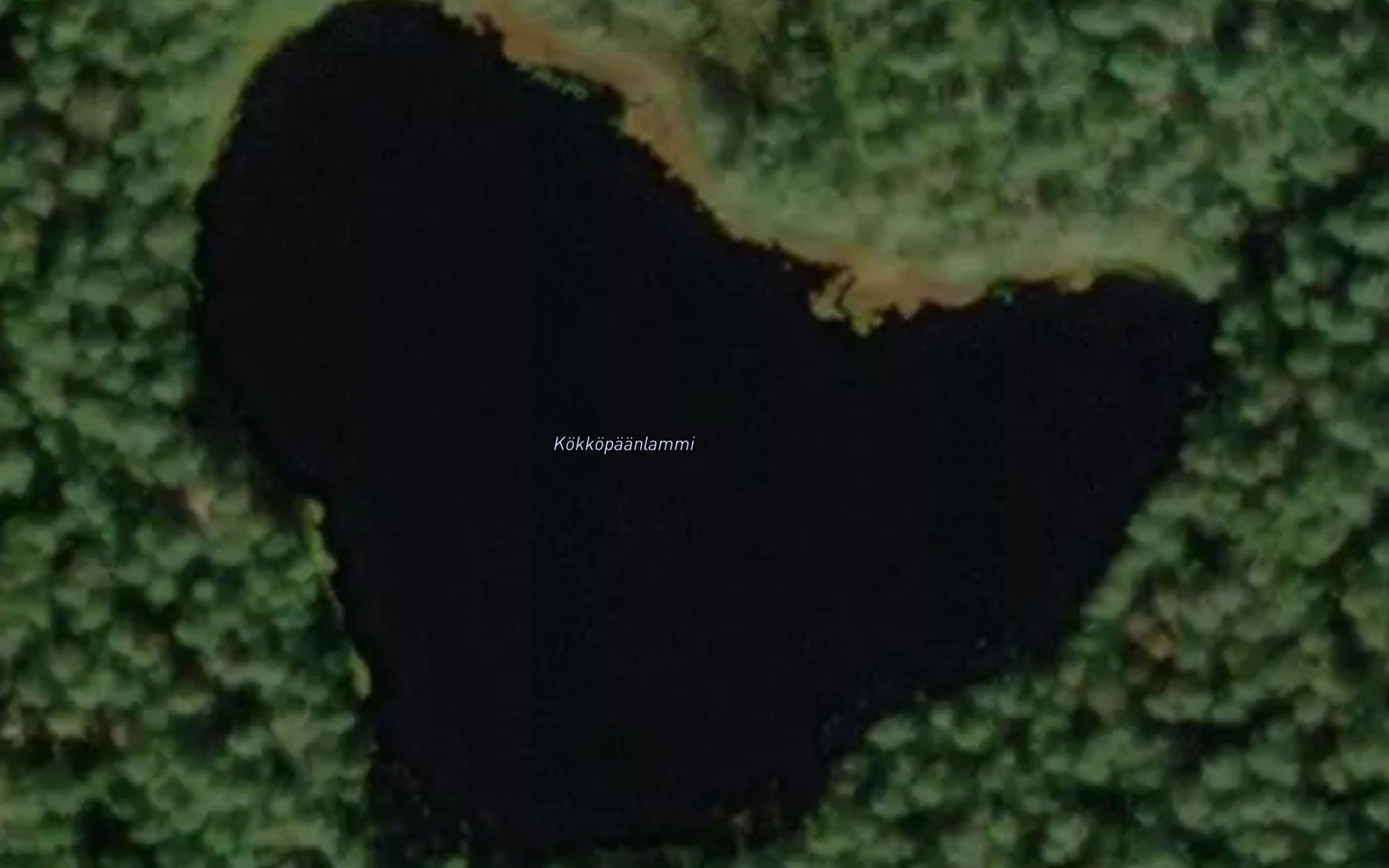 Kokkopaanlammi